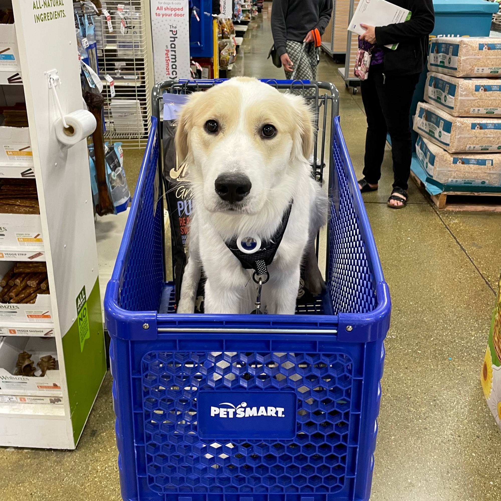 Country Club Animal Hospital West Covina