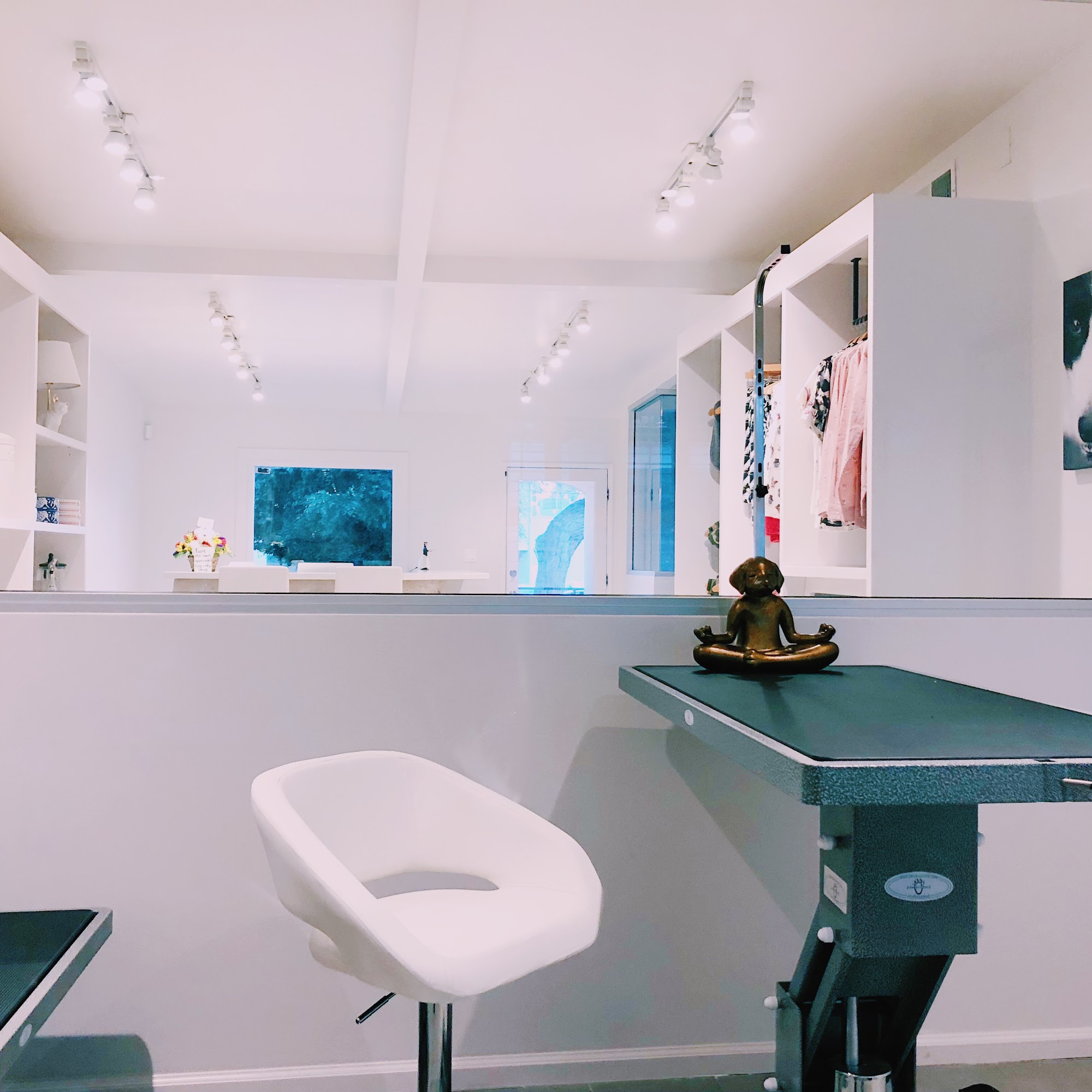 Groom - Dog Care With Love West Hollywood