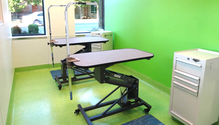 Citydog! Club West Hollywood