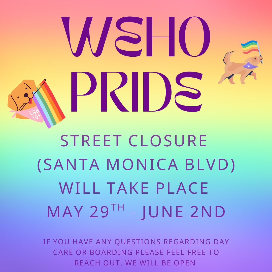 STARDOGS Clubhouse West Hollywood