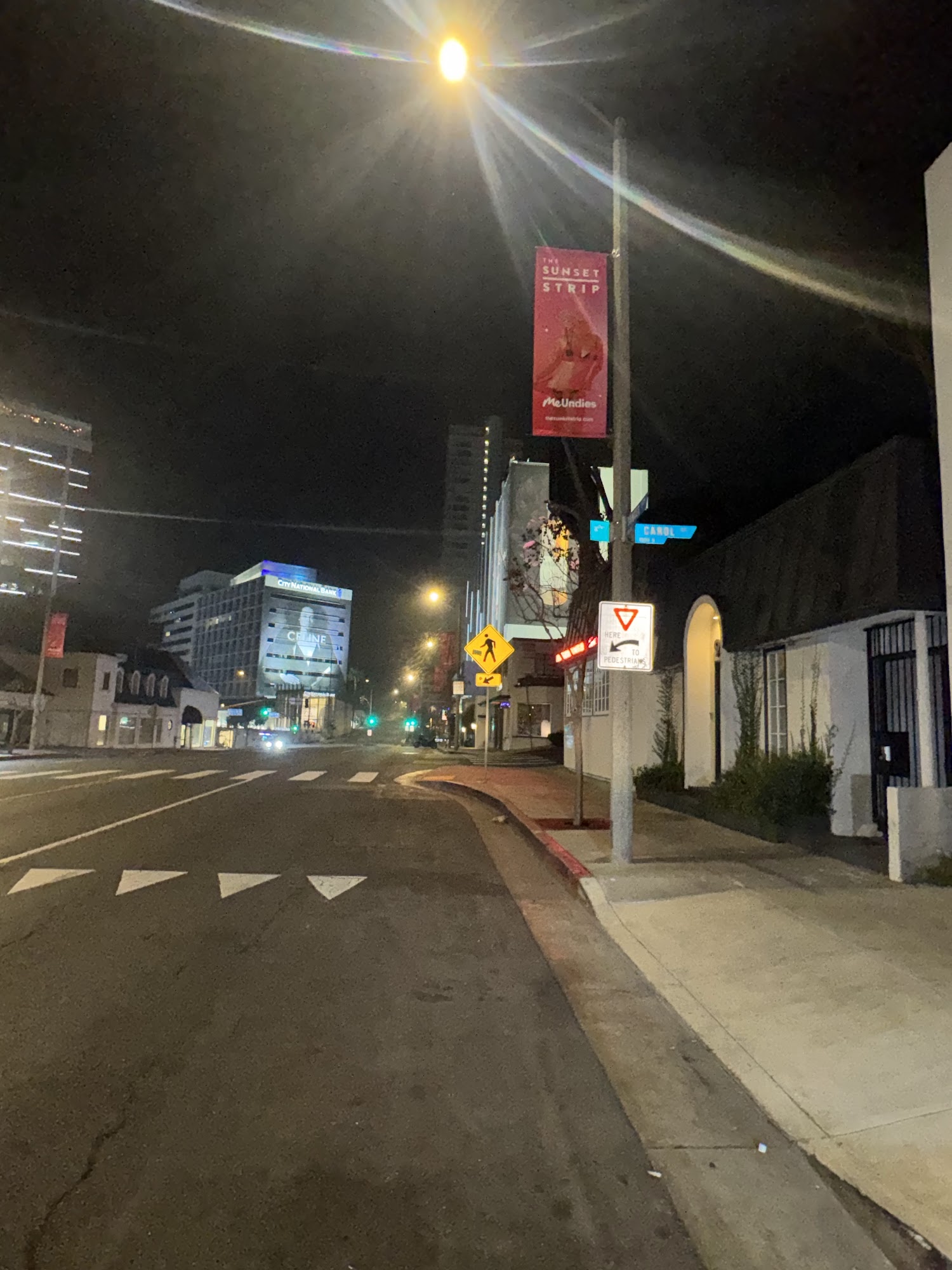 The Bird Streets Club