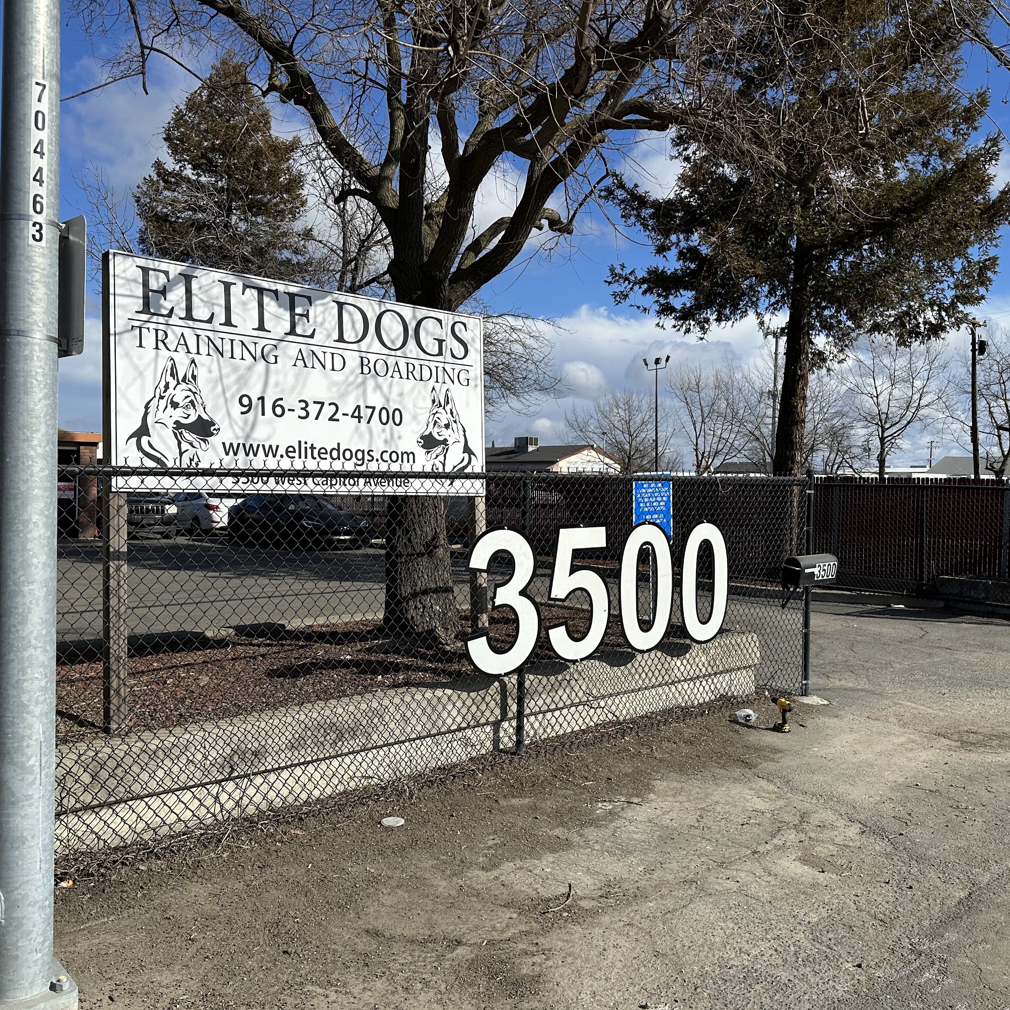 Elite Dogs Training & Boarding West Sacramento
