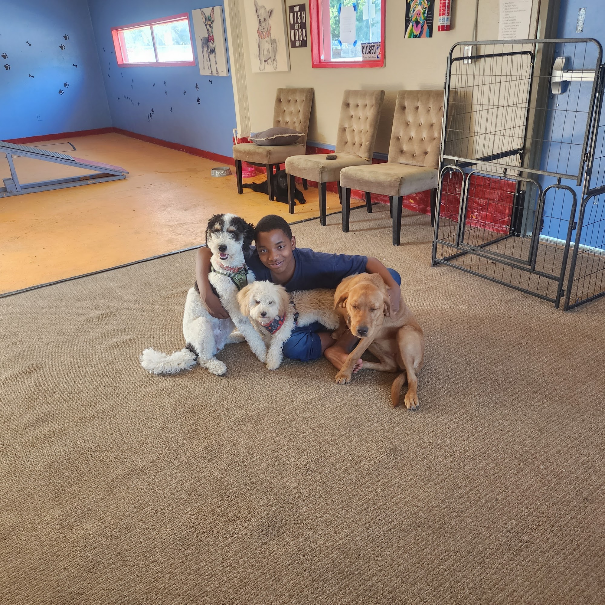 Mecole's Mobile Dog School West Sacramento