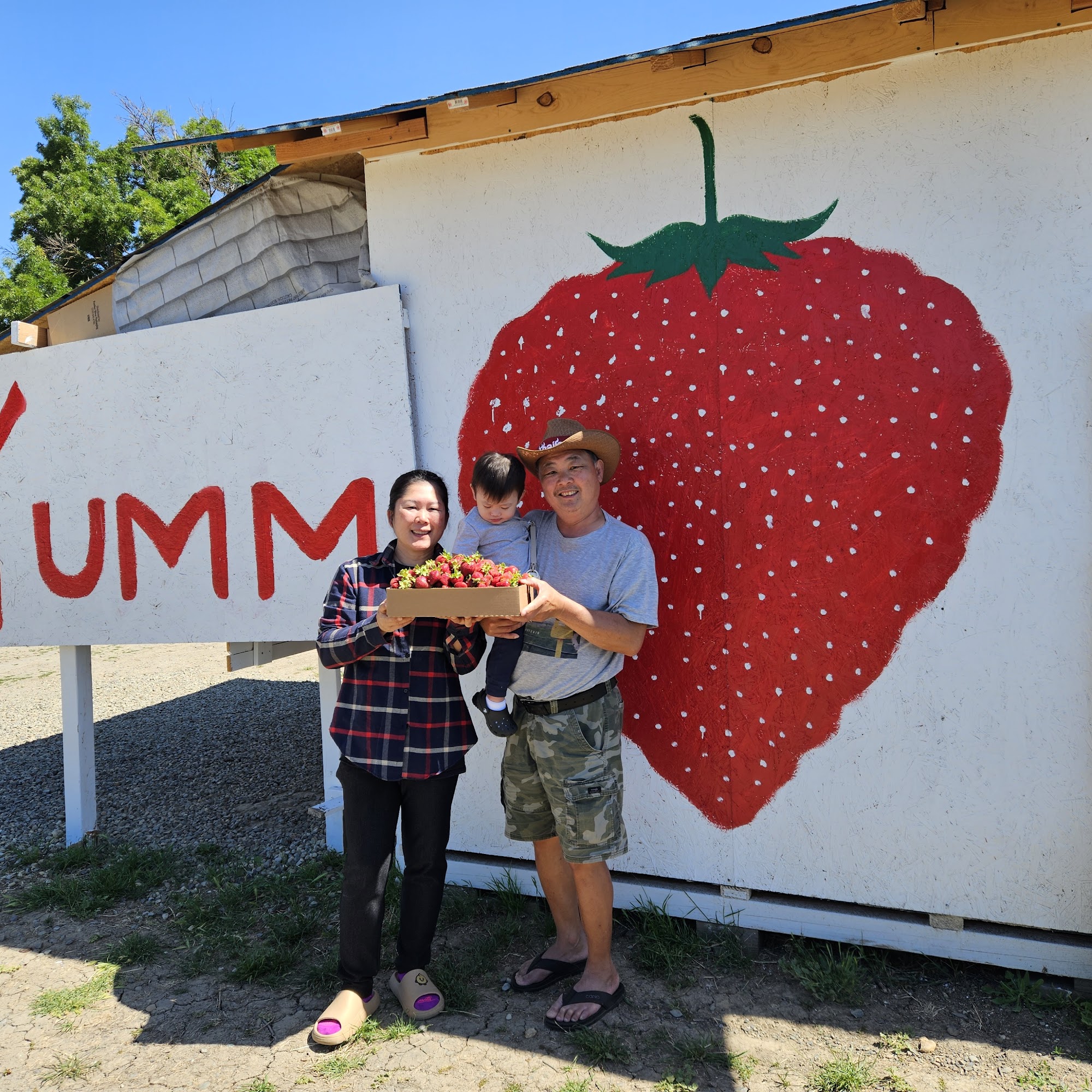 Yumm Strawberry West Sacramento West Sacramento