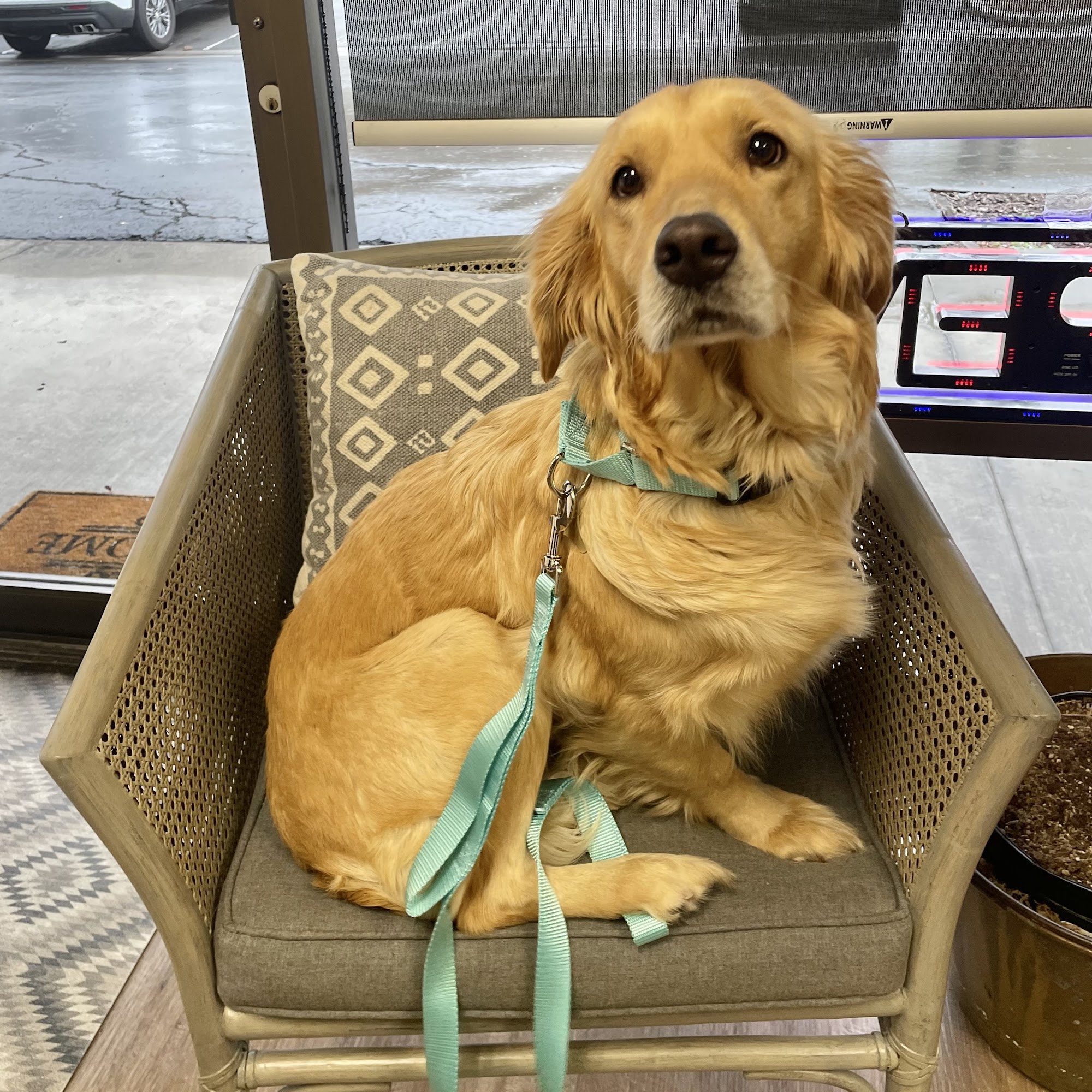 The Village Veterinary Hospital Westlake Village