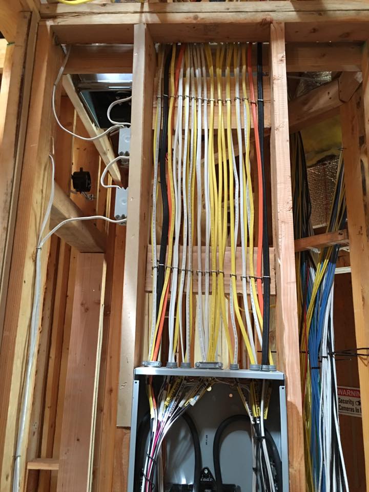 Totally Wired Electric