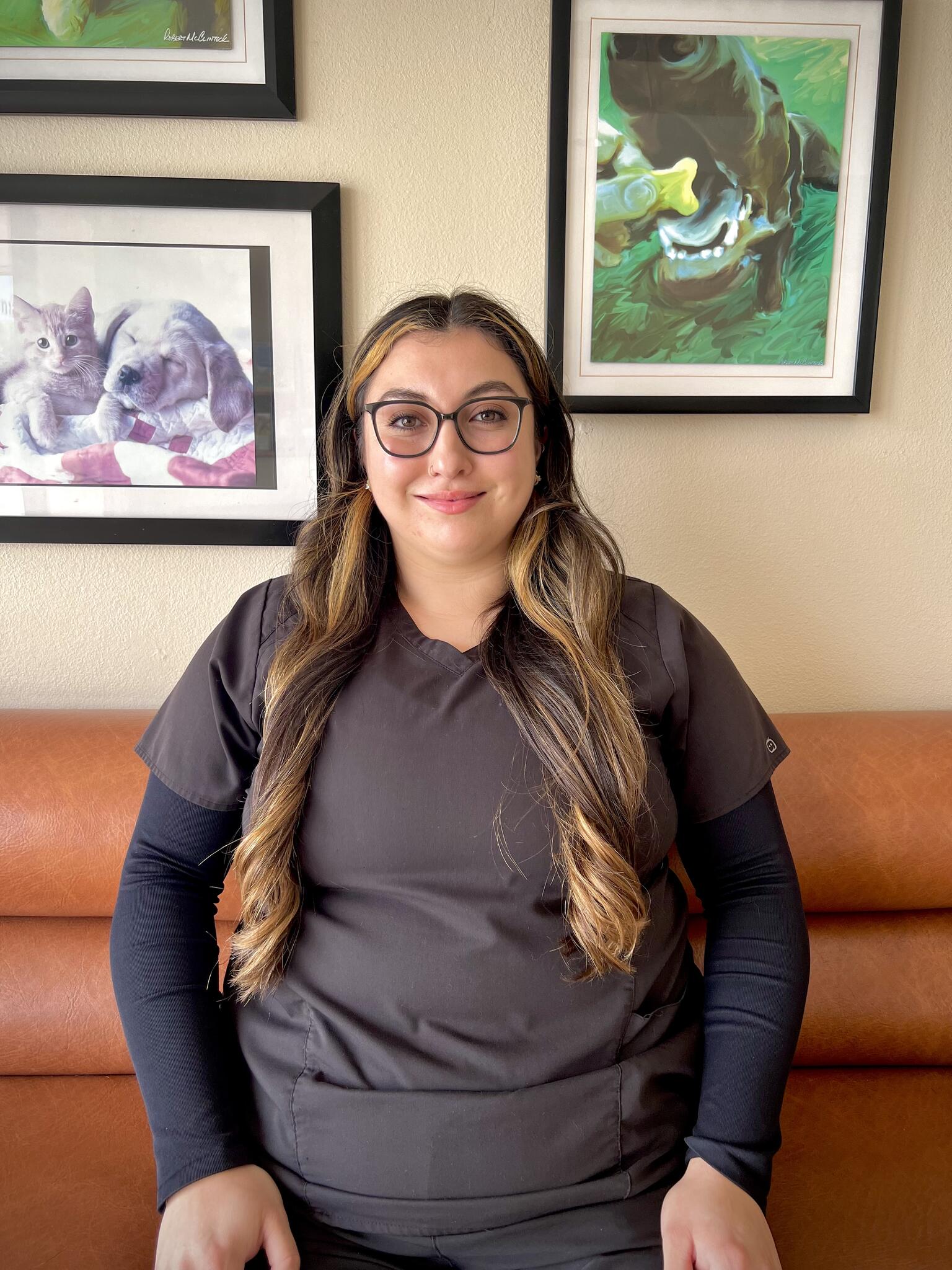 Magnolia Animal Hospital Westminster