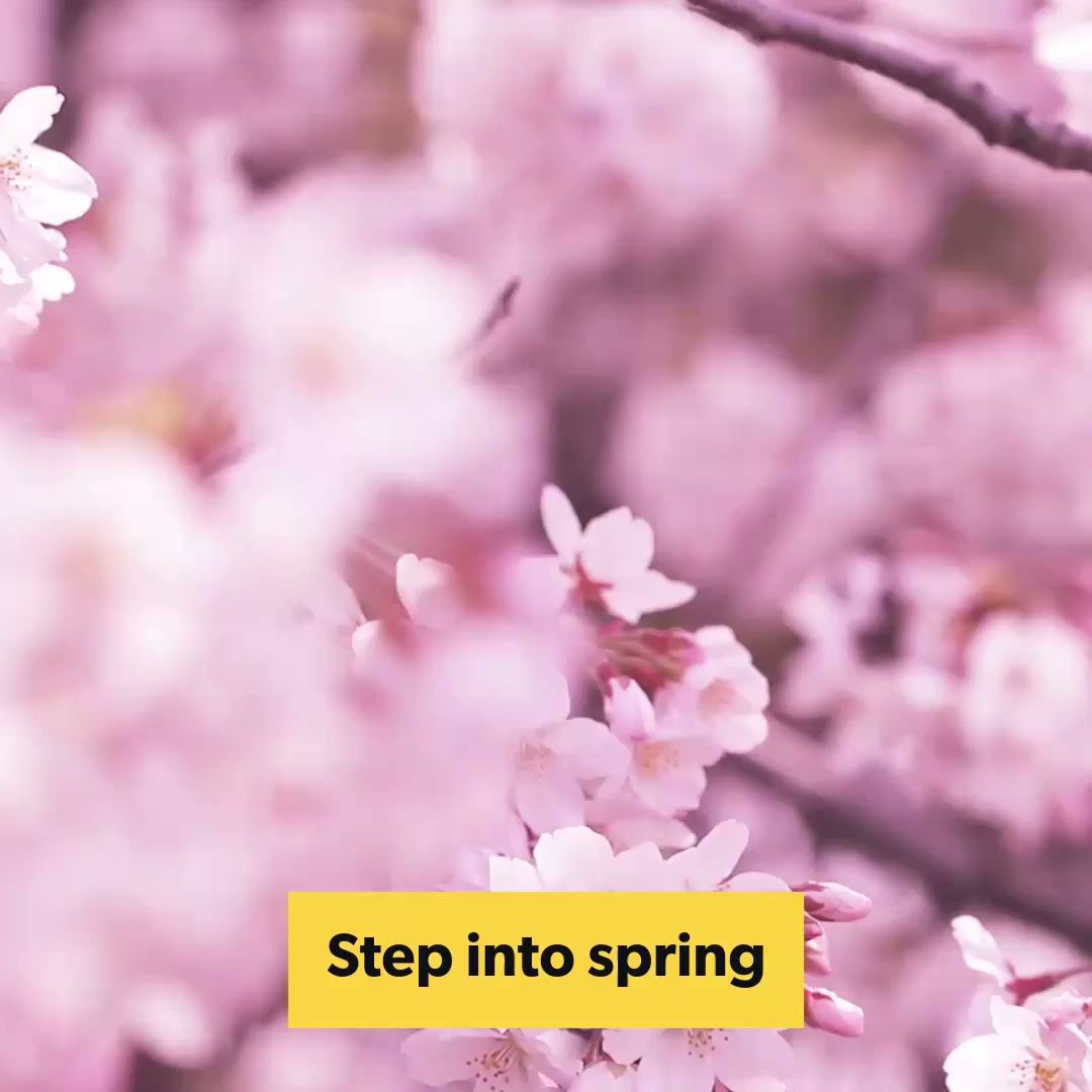 Diva Beaut - Eyelash Extensions -Eye Brow-Head Spa