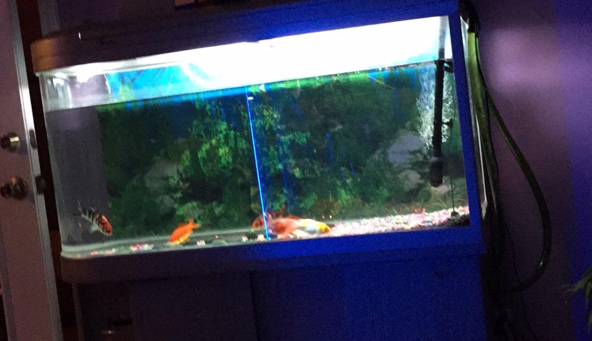 One By One Foot Massage Westminster California 92683