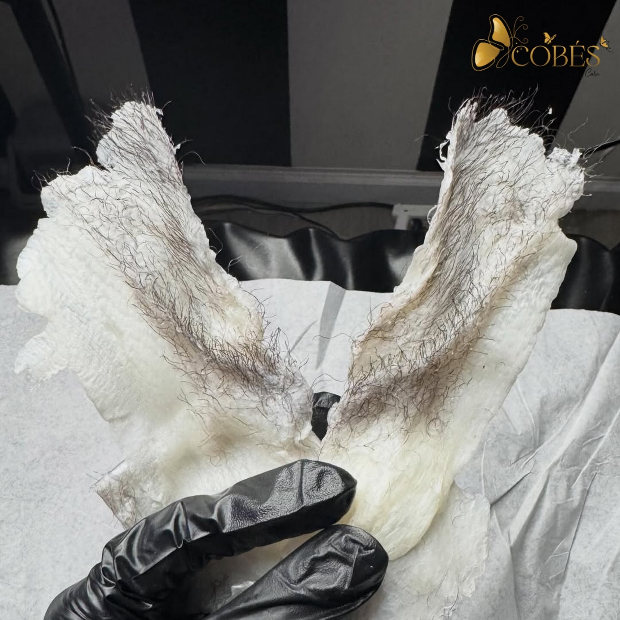 Cobés - Wax & Beauty Care