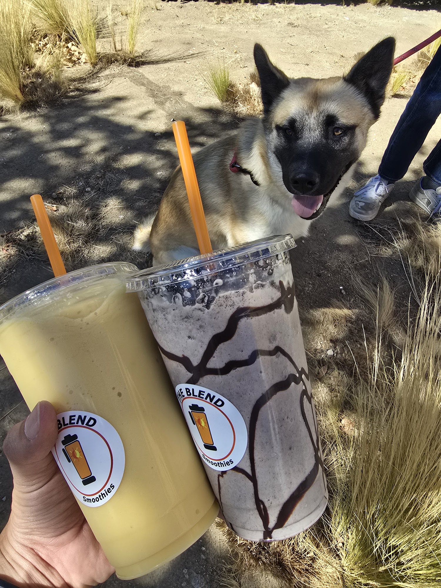 The Blend Smoothies Winchester