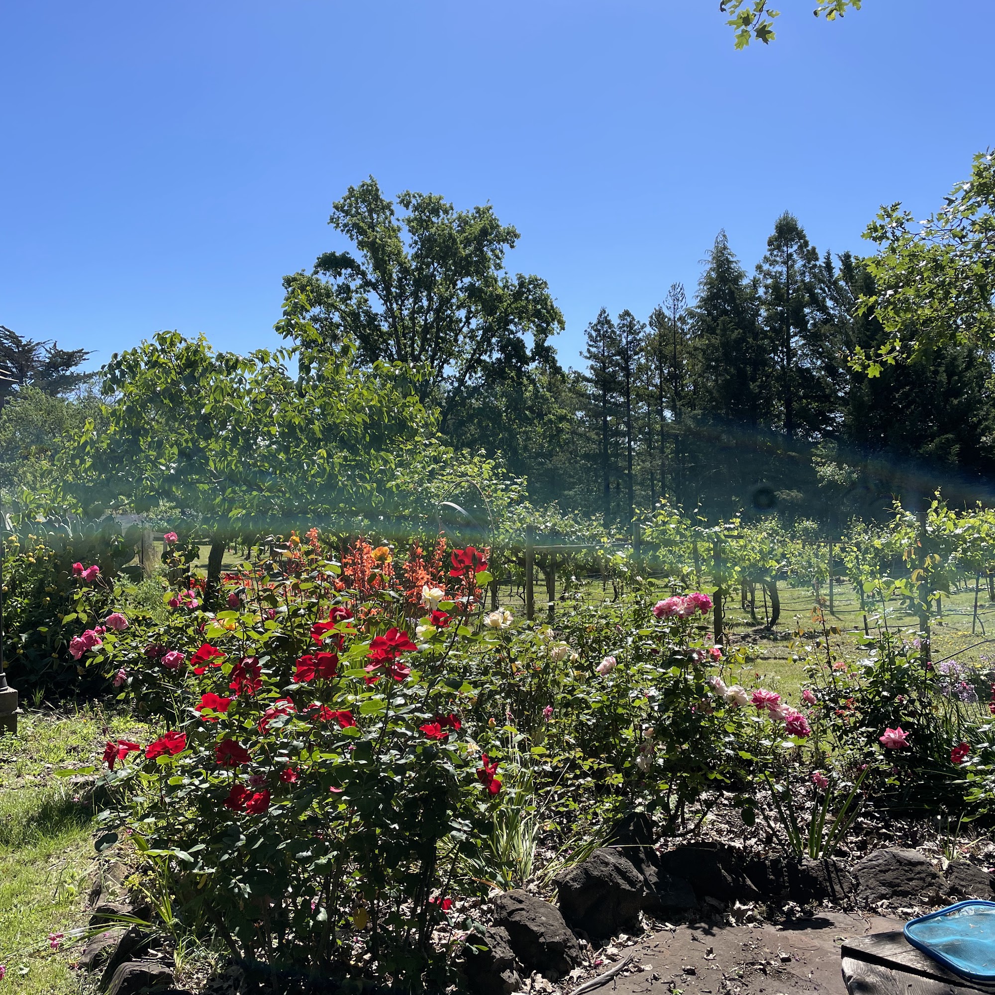 Golden Nectar Farm Windsor