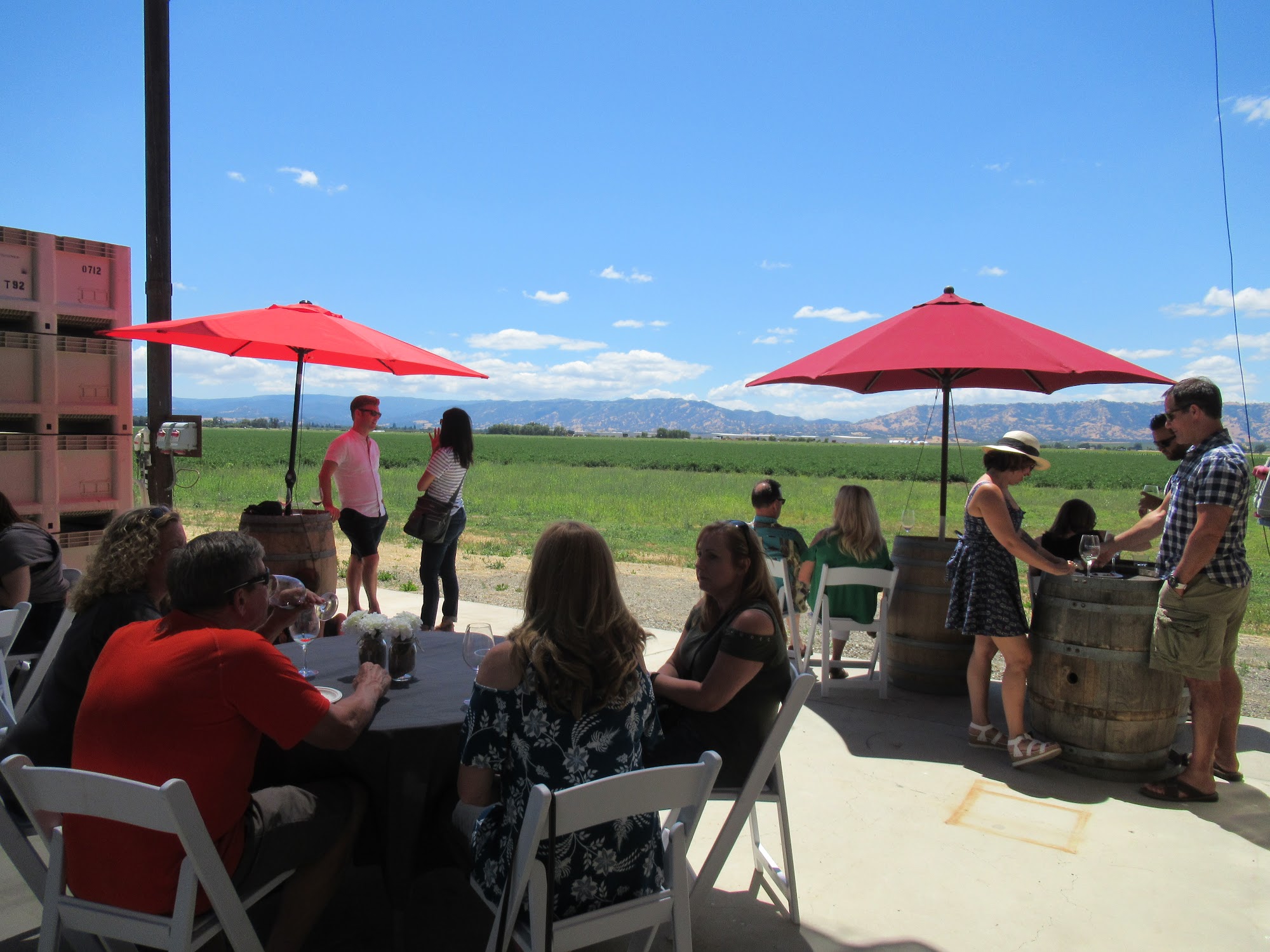 Turkovich Family Wines Winters