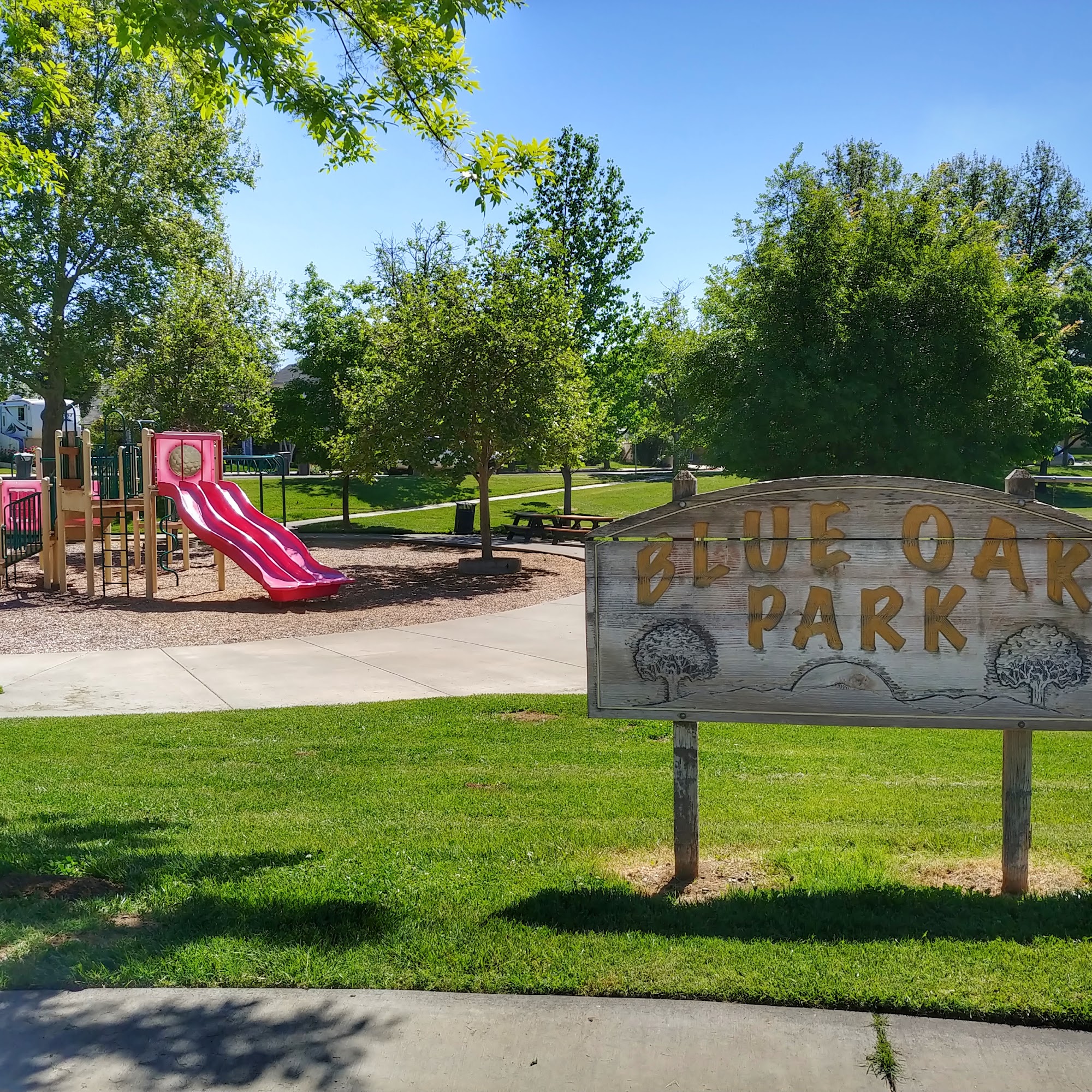 Blue Oak Park Winters