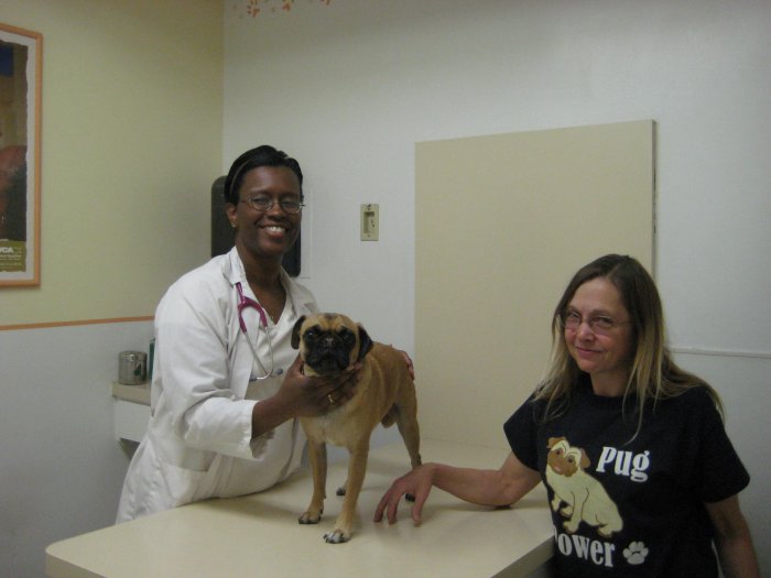 VCA Parkwood Animal Hospital Woodland Hills
