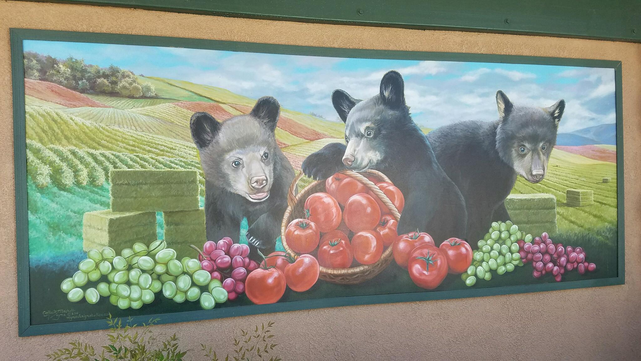 Photo credit: nextdoor