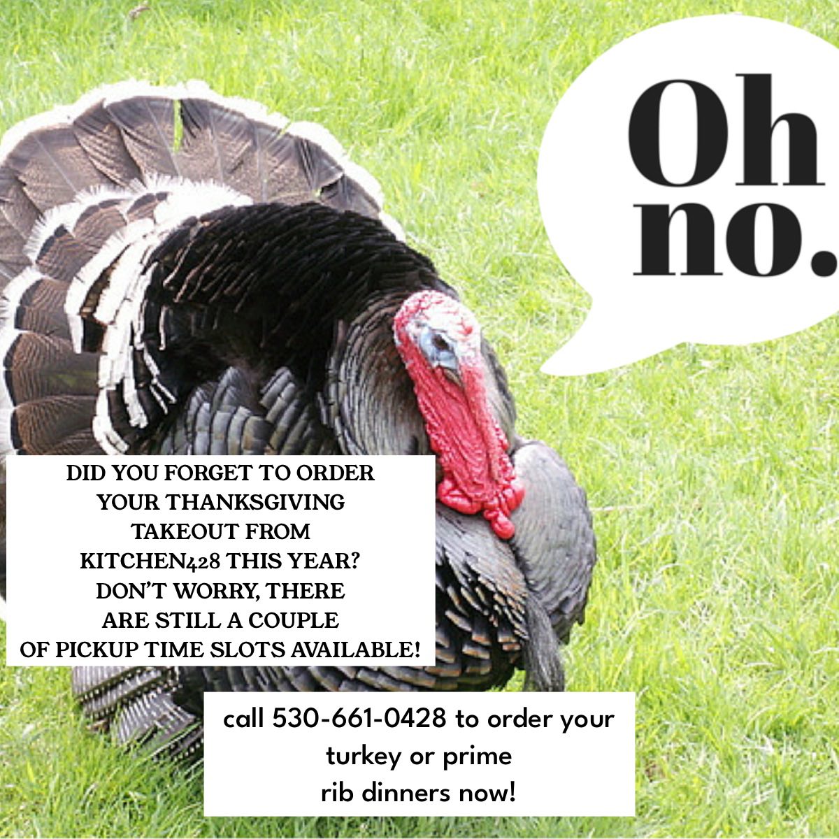 Kitchen428 Restaurant & Mojo’s Lounge Woodland