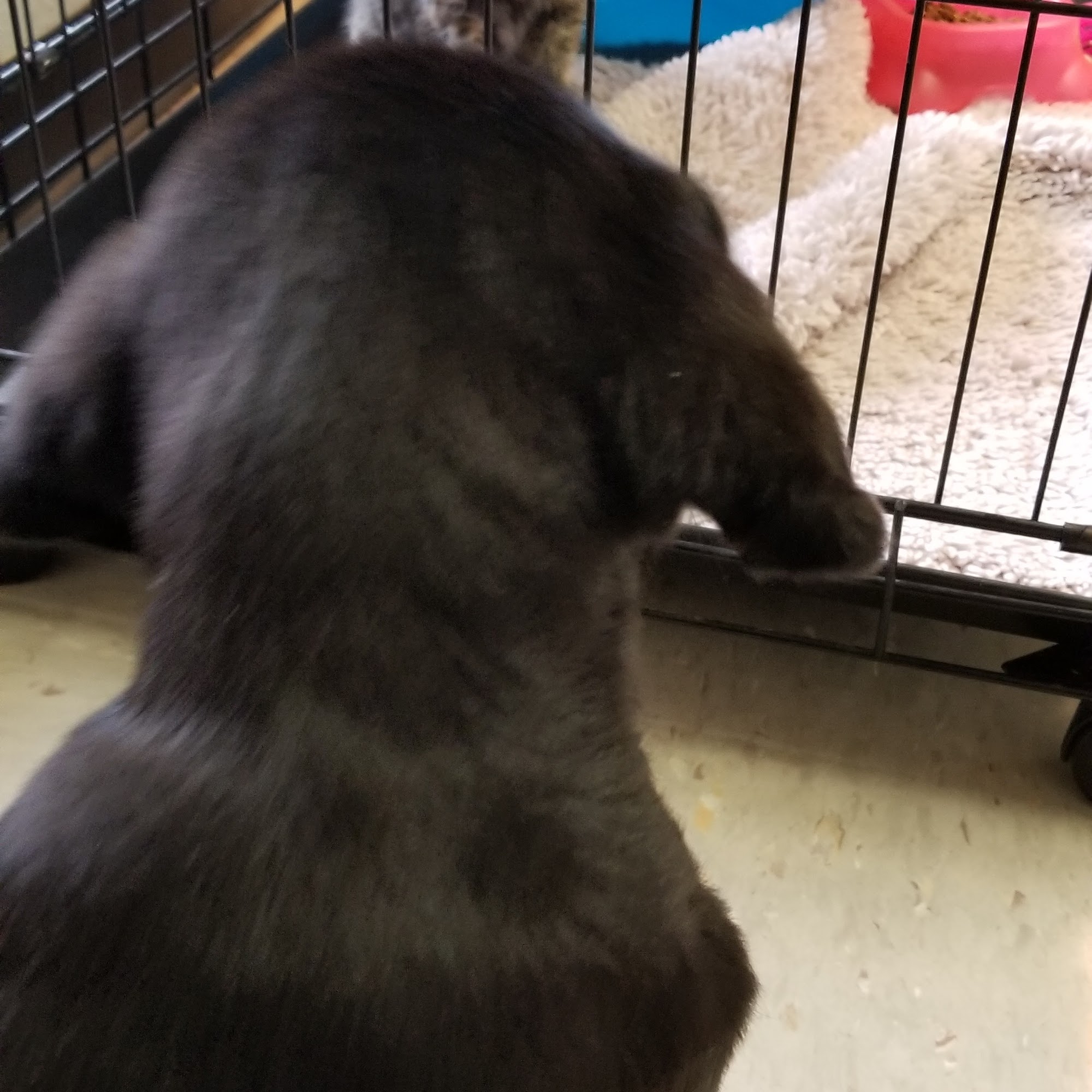 Valley Oak Veterinary Hospital Woodland