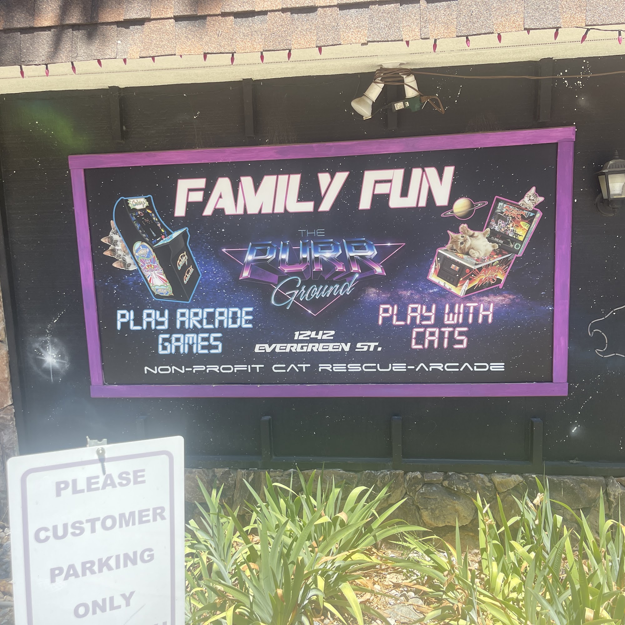 The Purr Ground Wrightwood