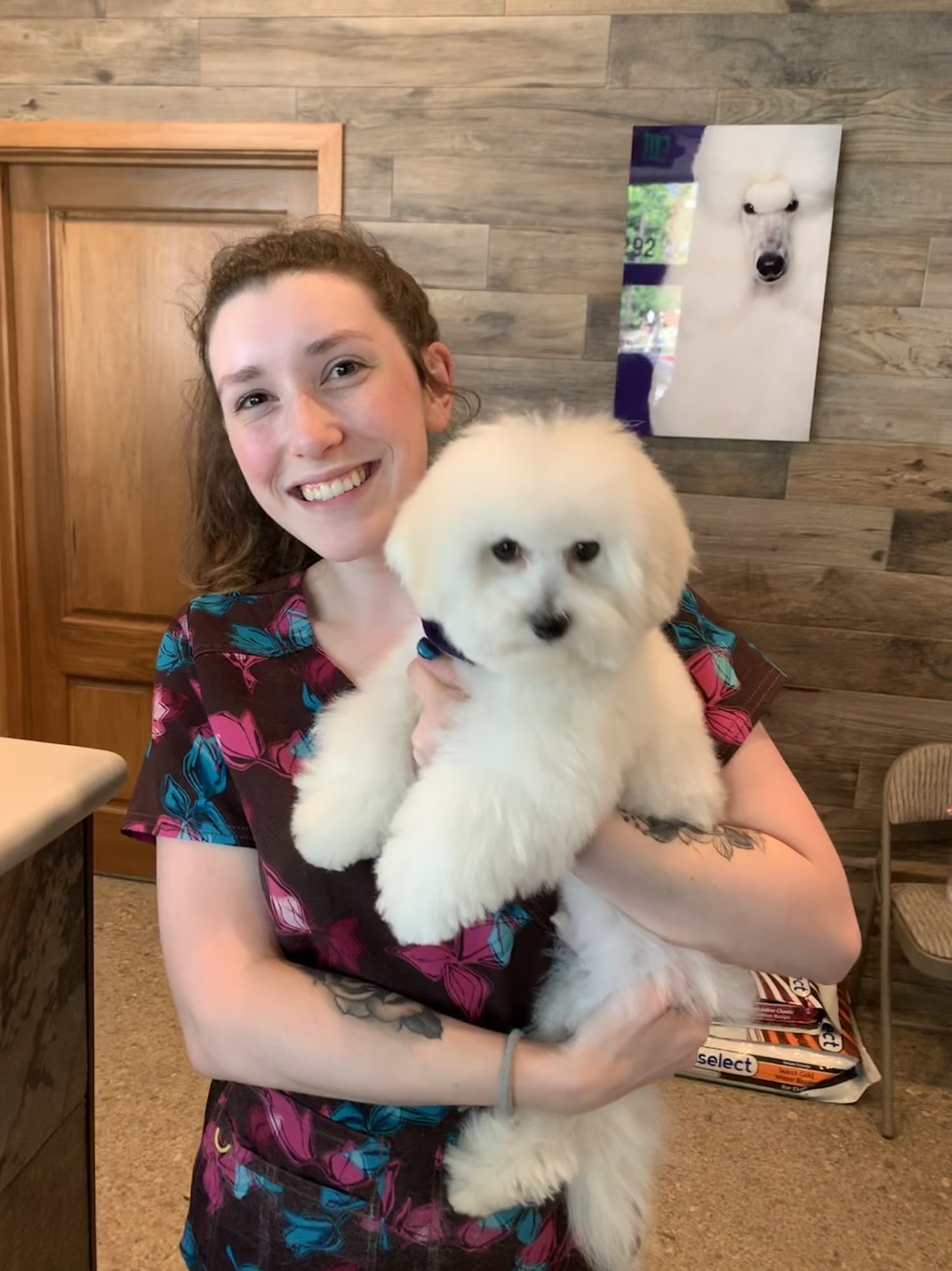 Furry Friends Pet Grooming Yorba Linda