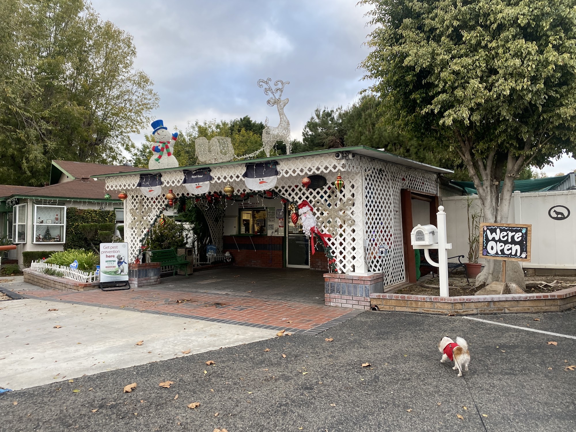 Vinjon's Kennel Yorba Linda Yorba Linda