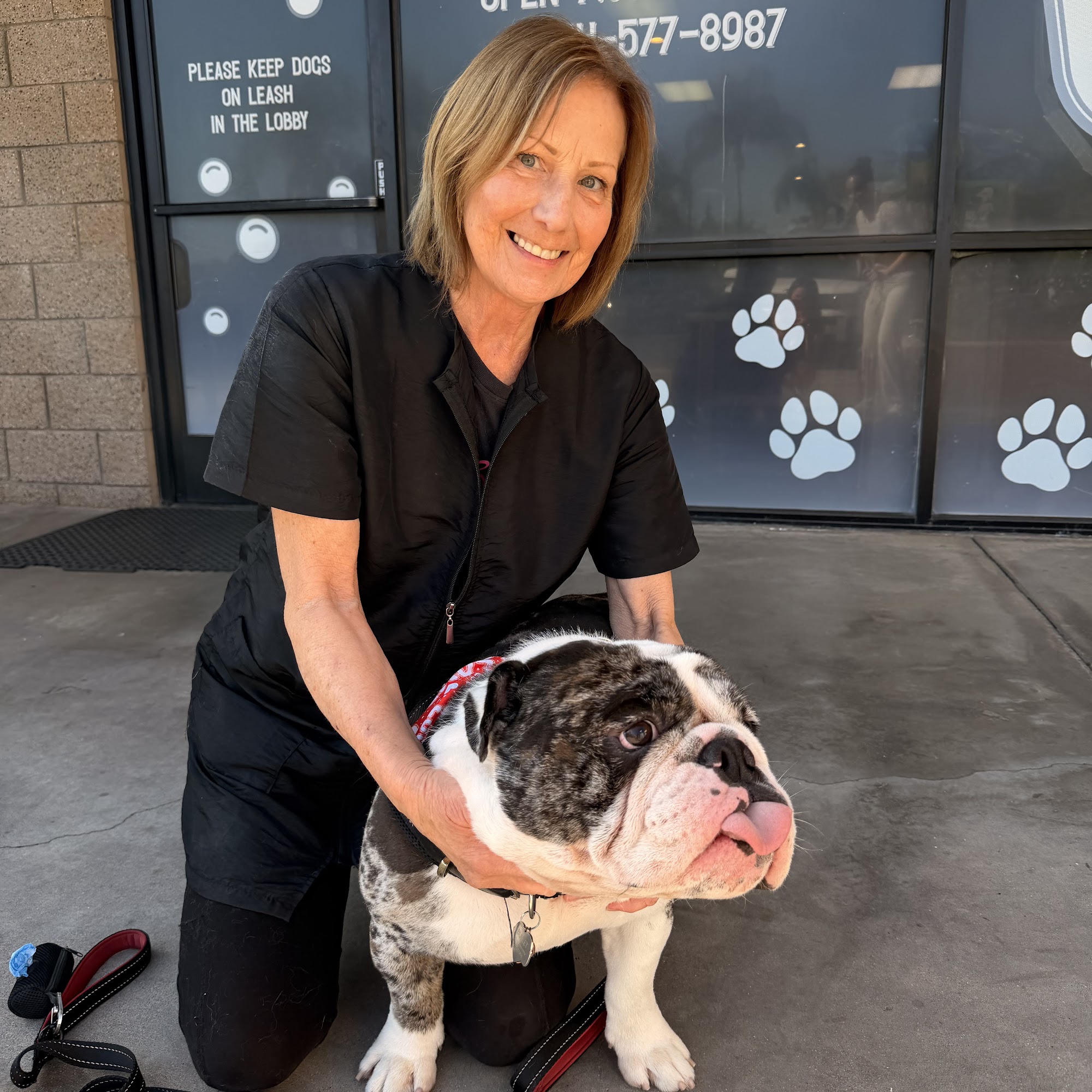 Dawg's House of Grooming Yorba Linda