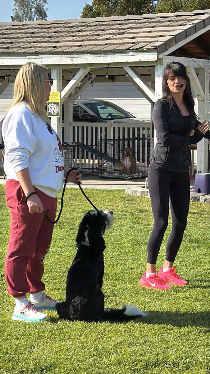 Falco Dog Training OC Yorba Linda
