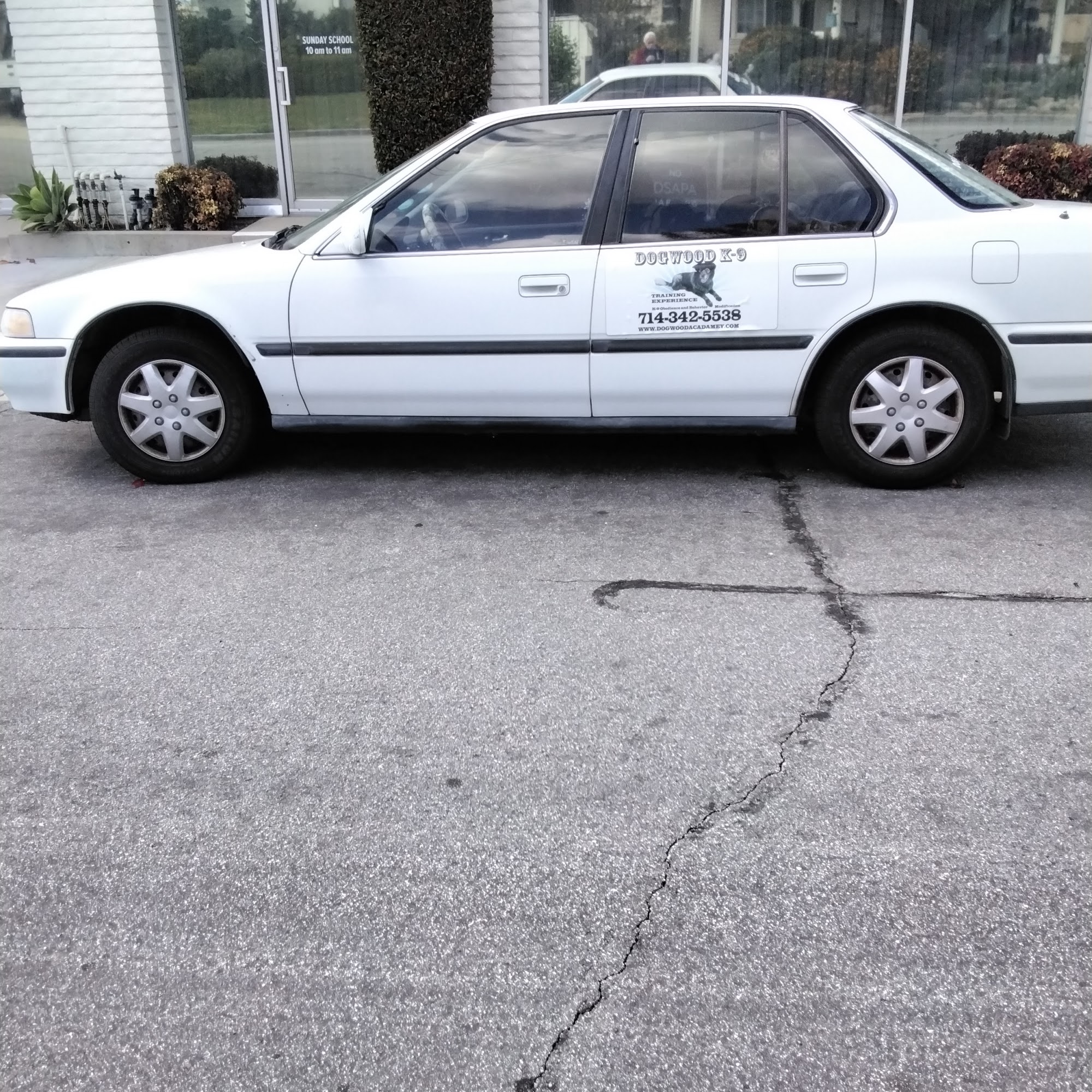 Dogwood K-9 Training Experience Yorba Linda