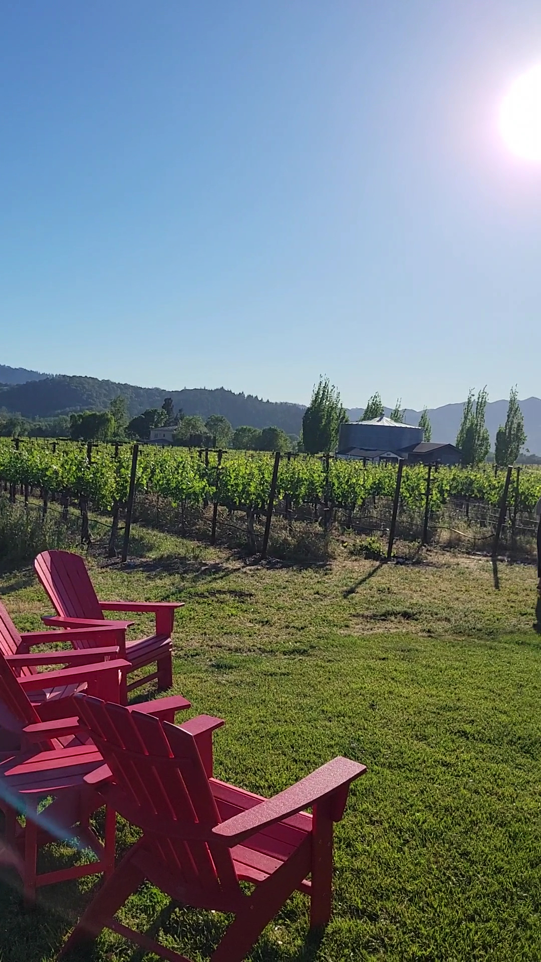 Goosecross Cellars Menu