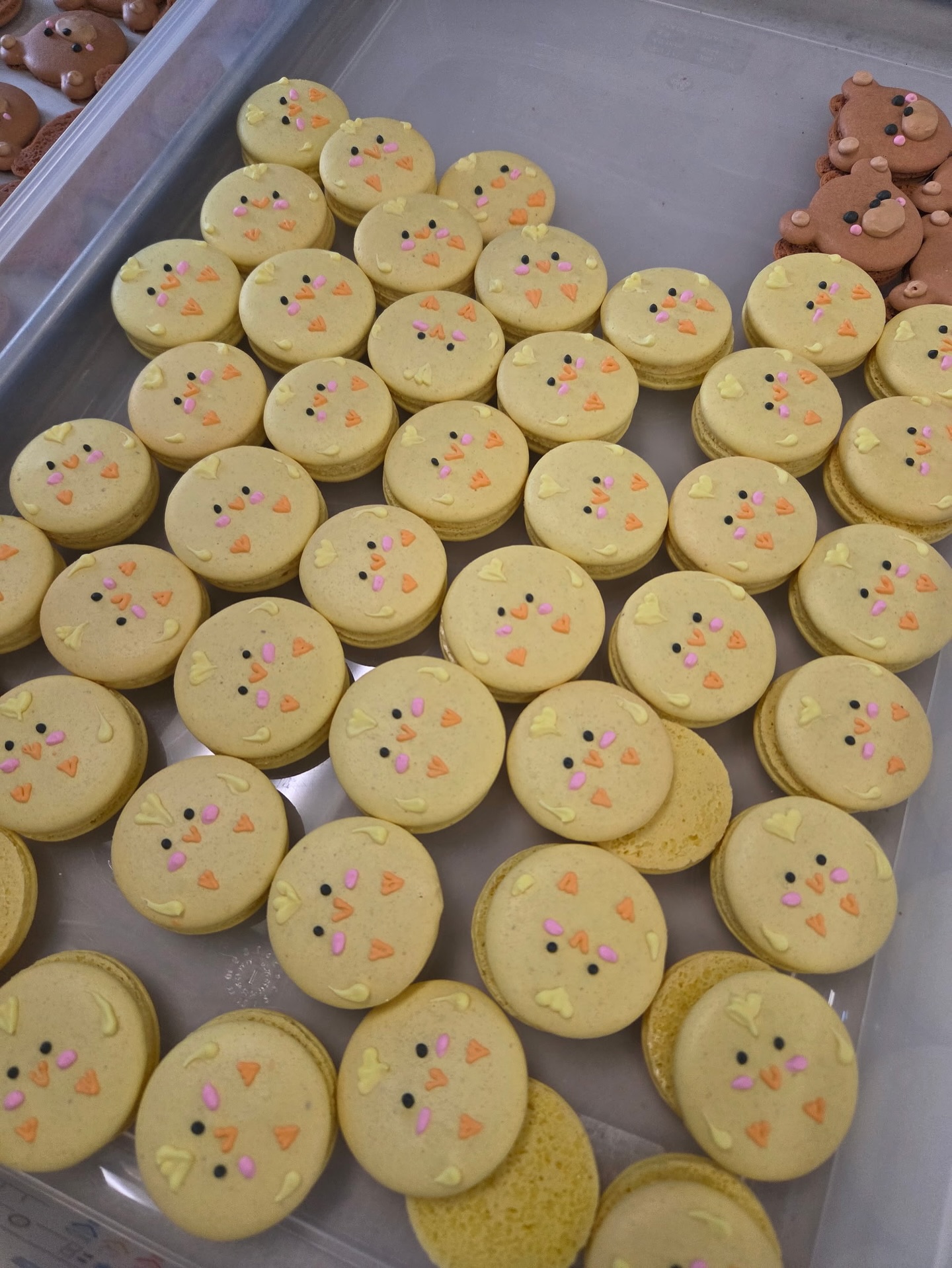Madeleine's Macarons Yountville