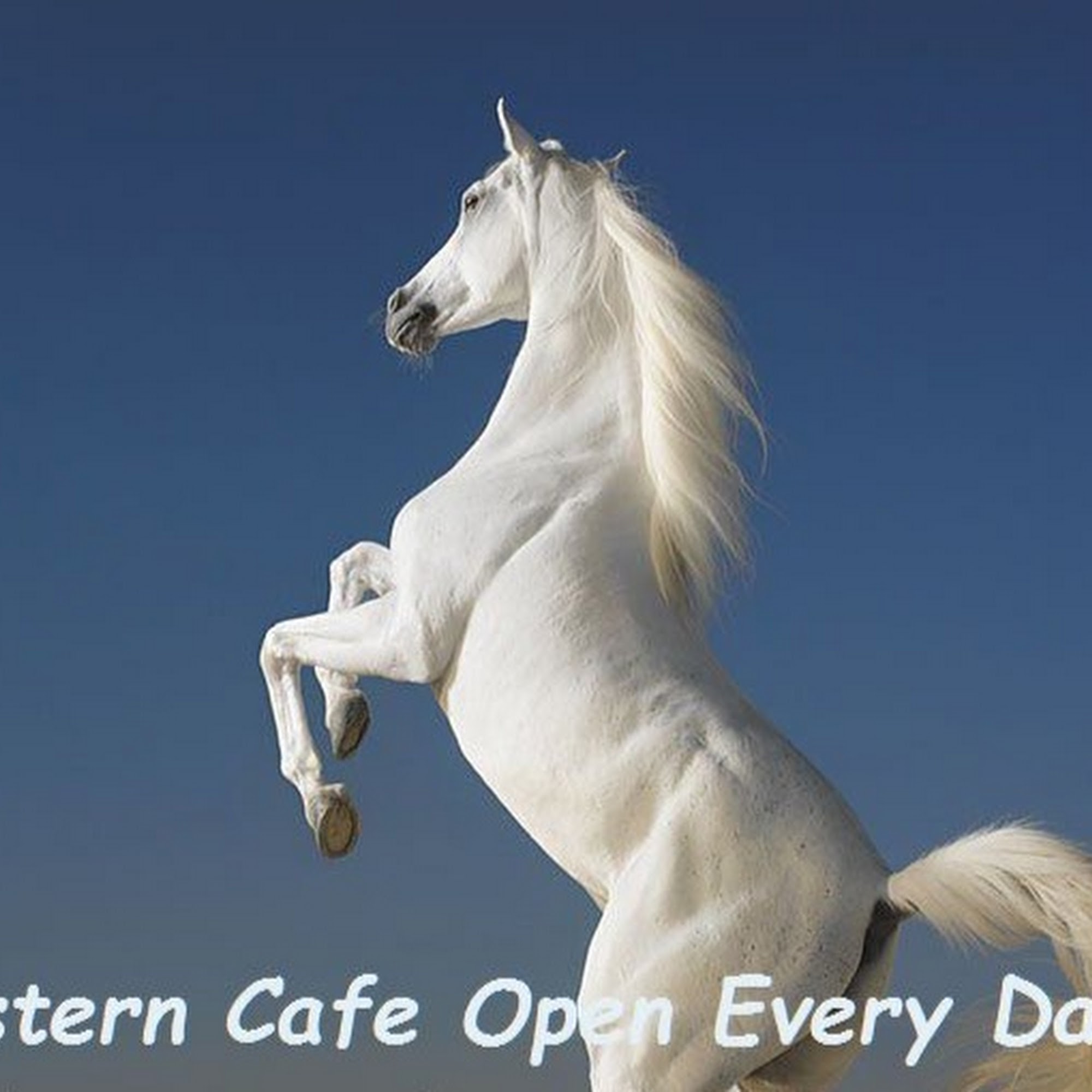 Larry & Milt’s Western Cafe Yucca Valley