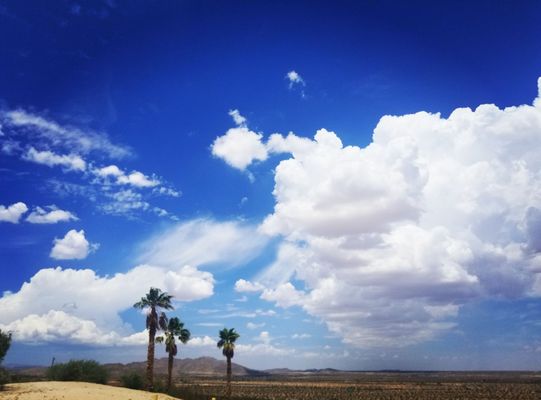 Hi-Desert Podiatry Center