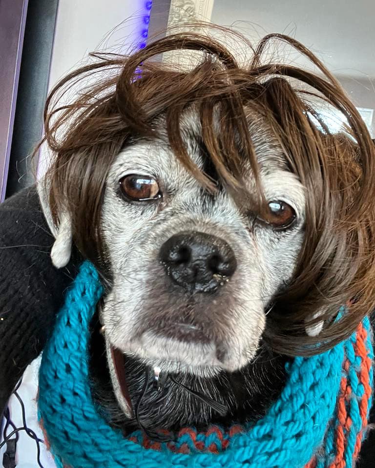 MAC Hair