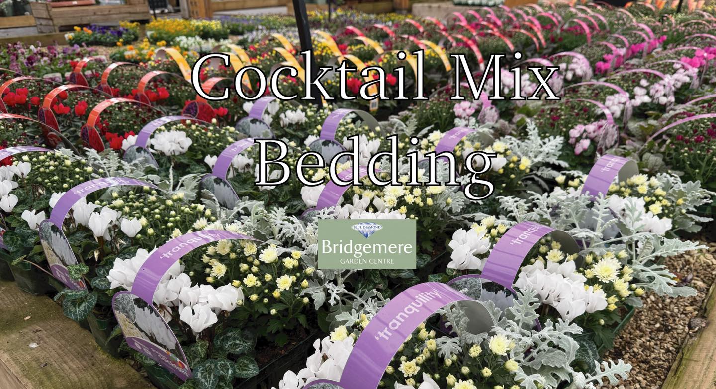 Bridgemere Garden Centre