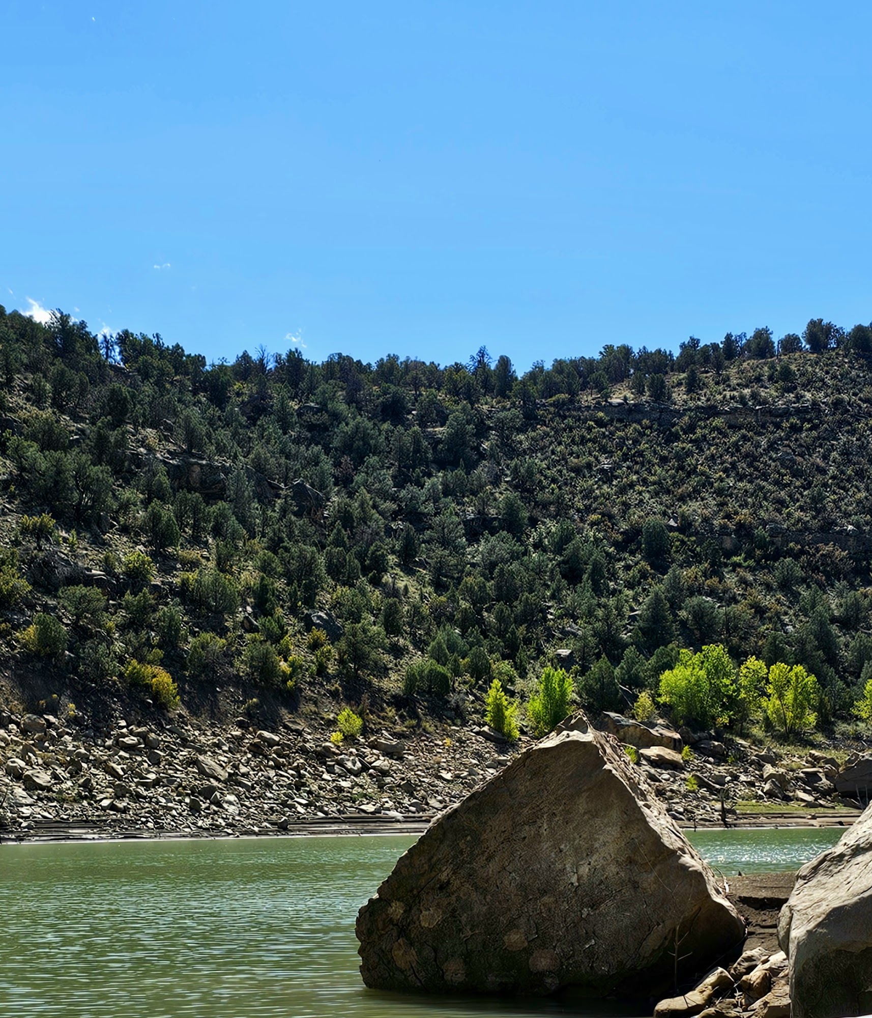 Two Rivers Marina Arboles