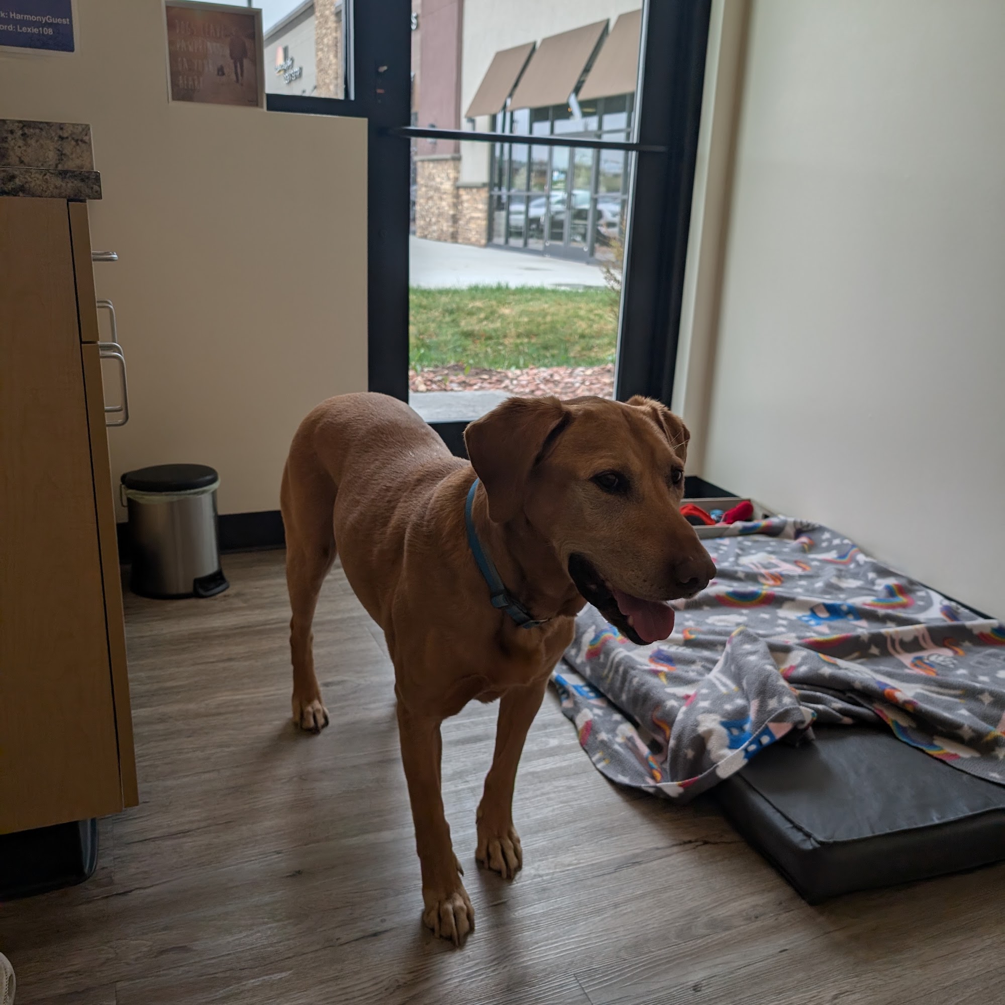 Harmony Veterinary Center Arvada