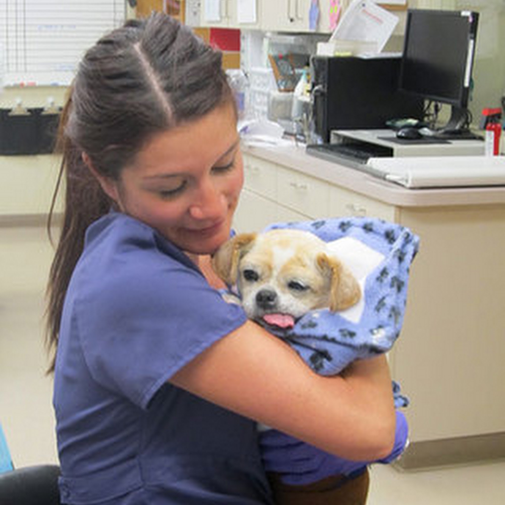 Care Animal Hospital Arvada