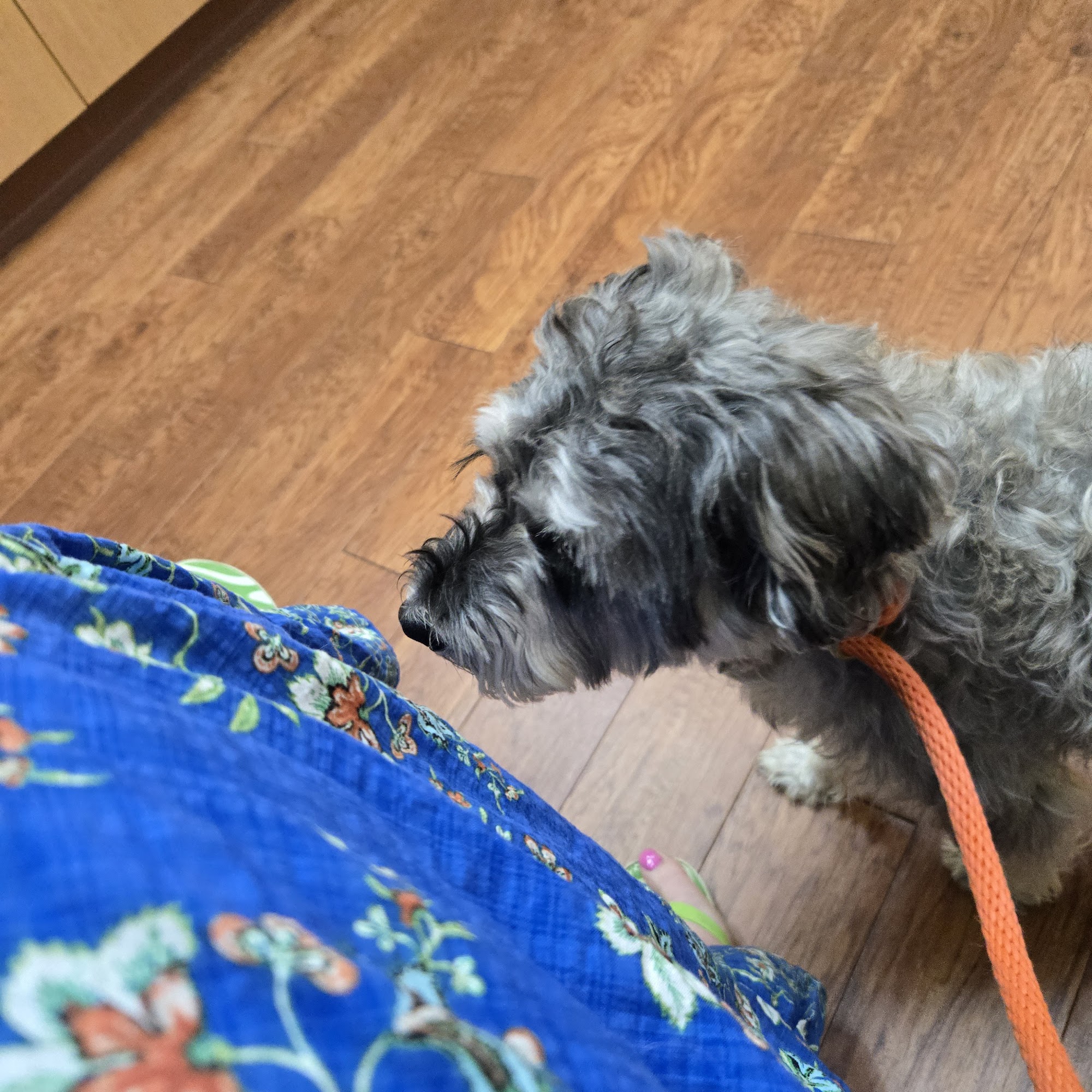 Arvada Flats Veterinary Hospital Arvada