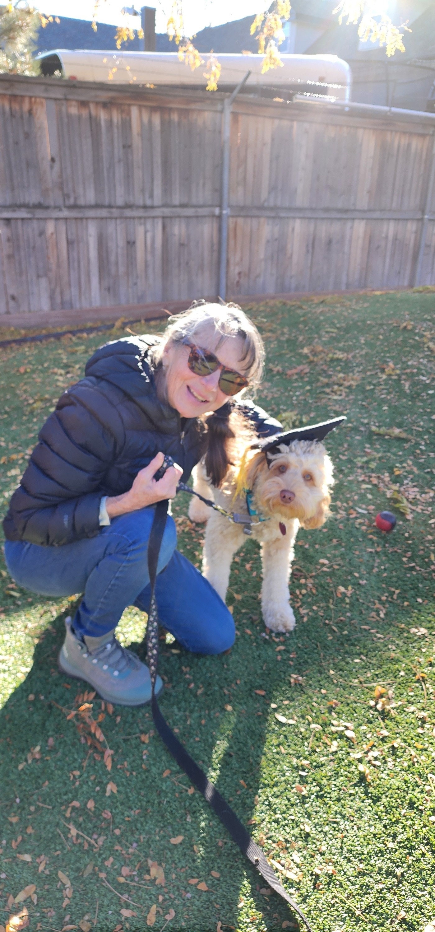 PoSITivity Dog Training (Arvada) LLC, CPDT-KA Arvada