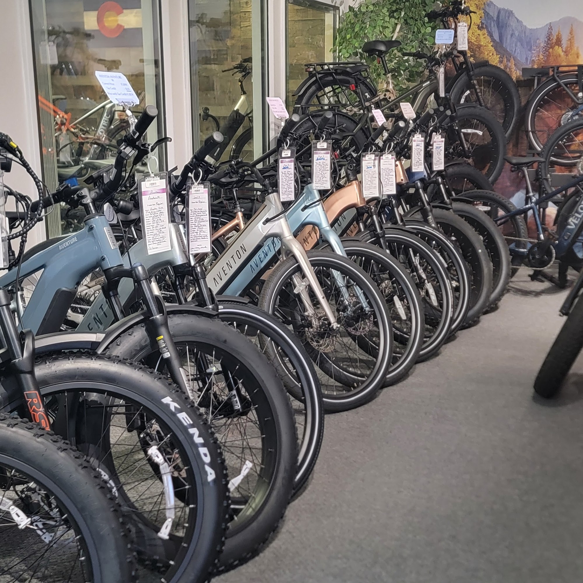 Blue Mountain E-Bikes Arvada