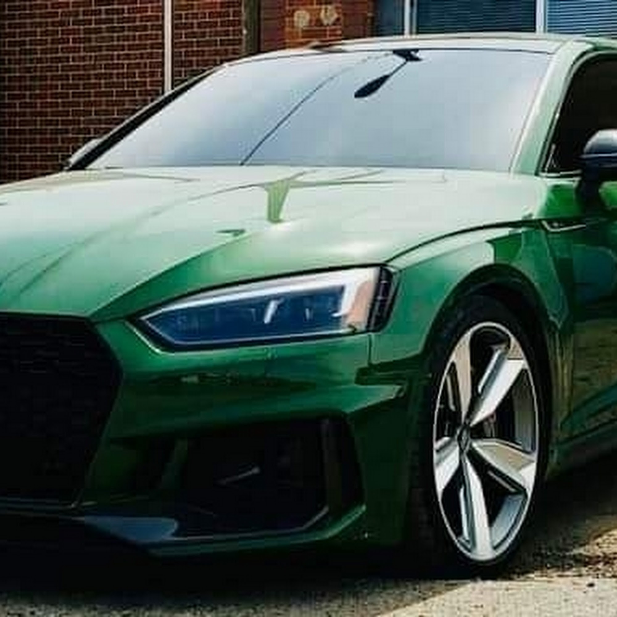 Queen Of Tints Arvada