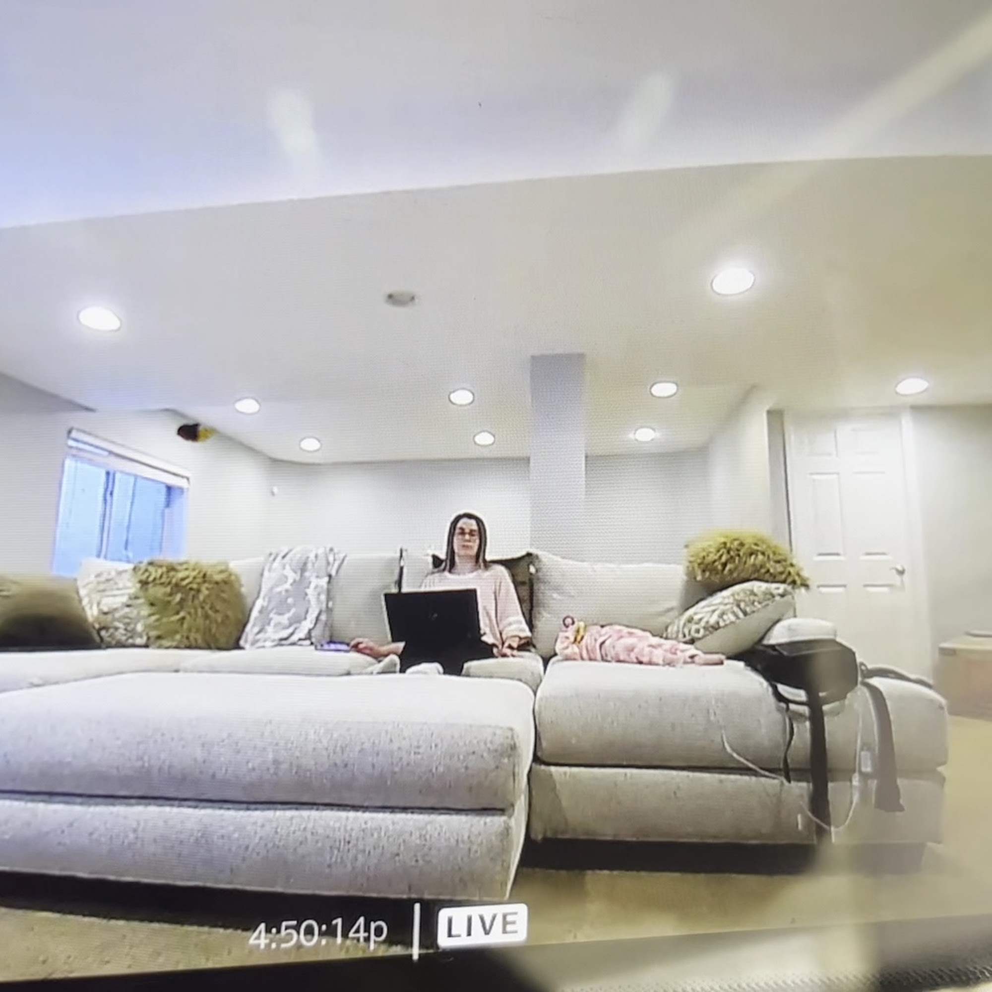 Parkside Animal Health Center Aurora