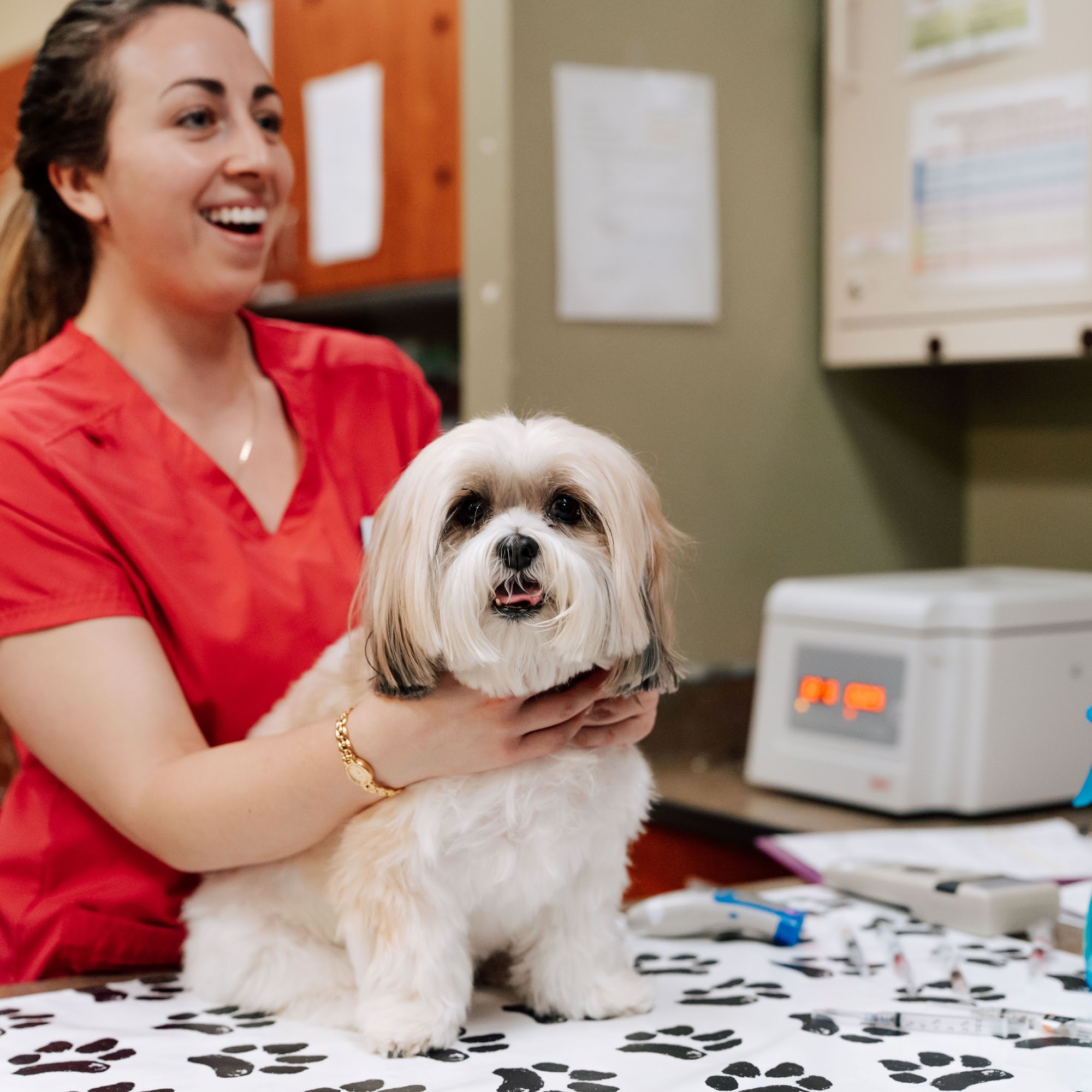 Loving Family Animal Hospital Aurora