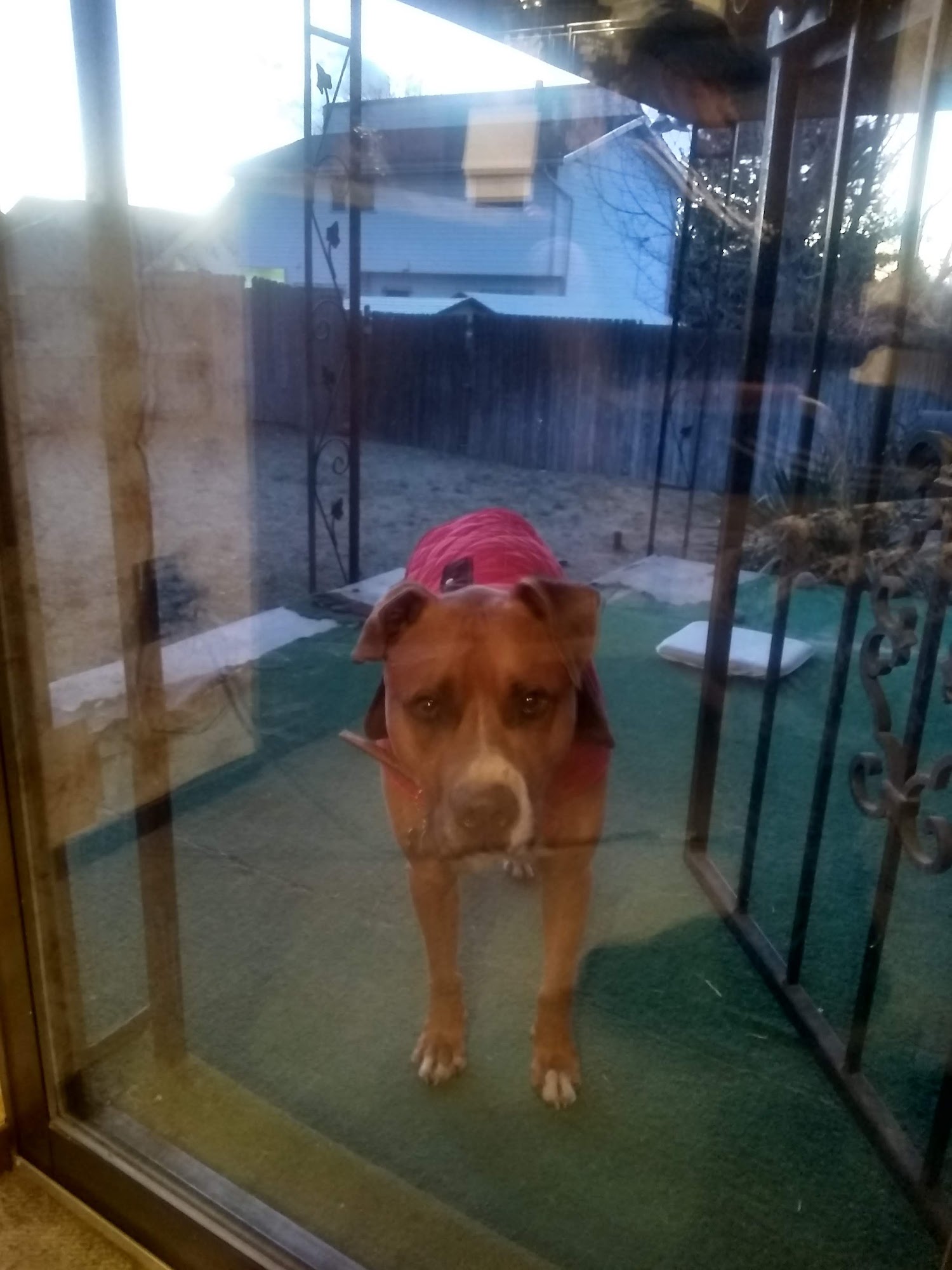 Tower Road Animal Hospital Aurora