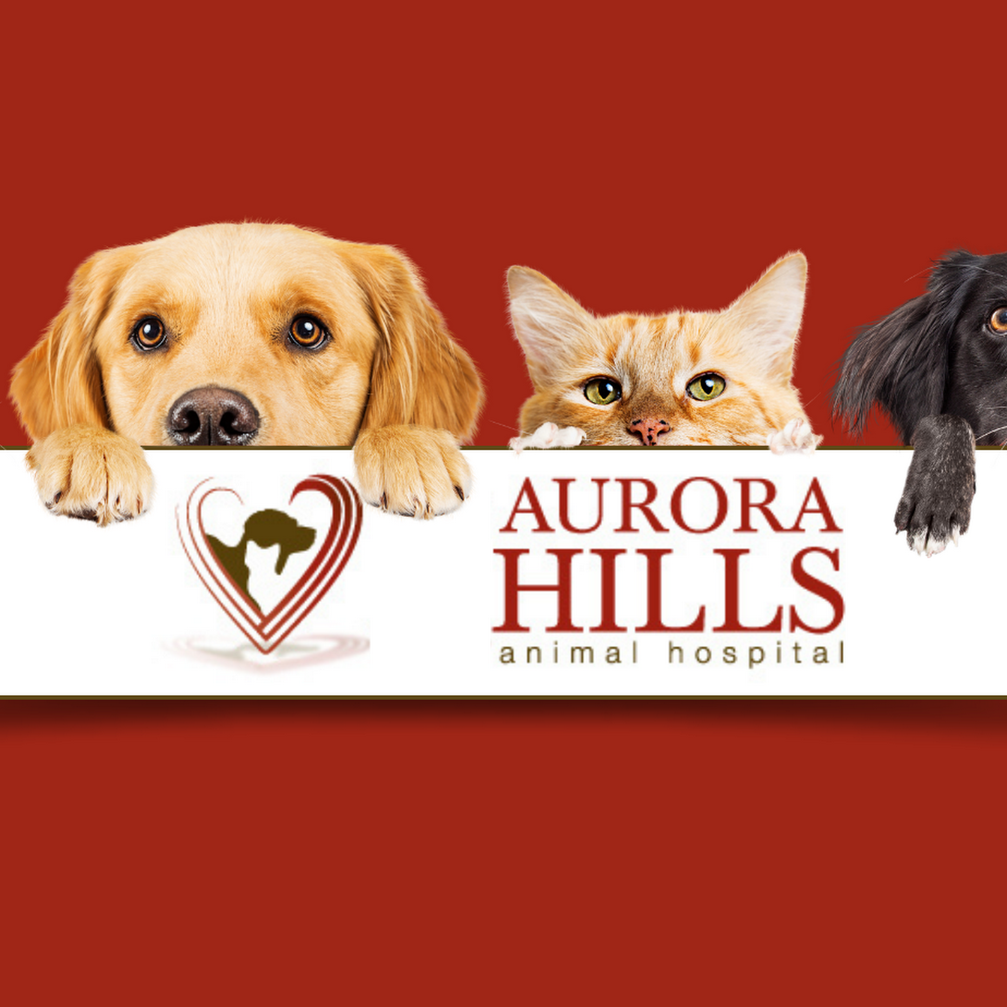 Aurora Hills Animal Hospital Aurora