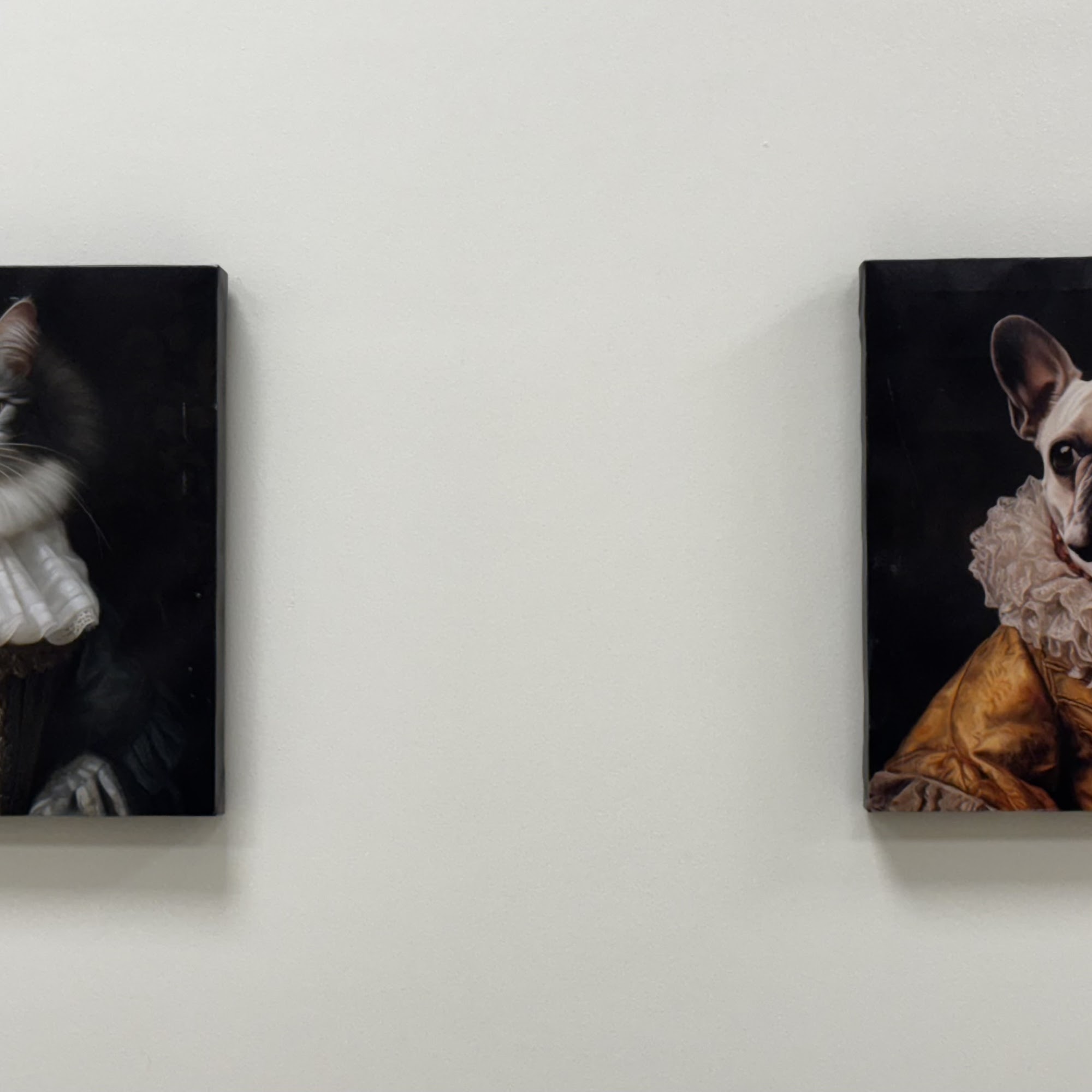 Pet Palace Vet Clinic Aurora