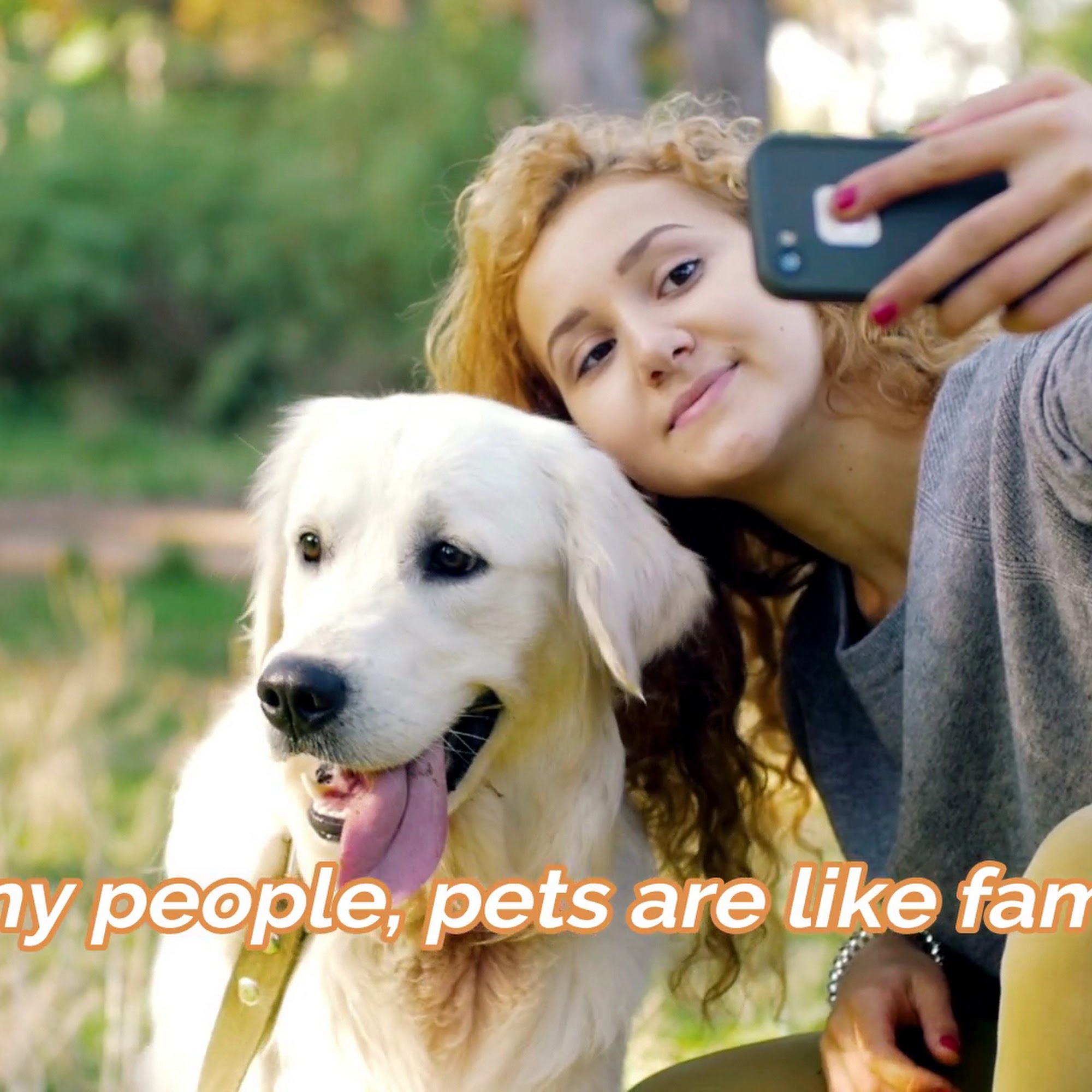 Club Pet Resorts DIA Aurora