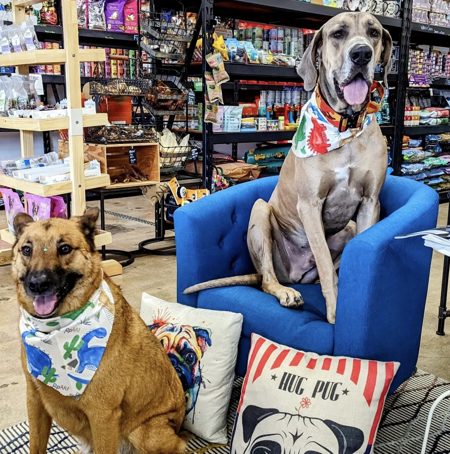 Maw & Paw Pet Market Aurora