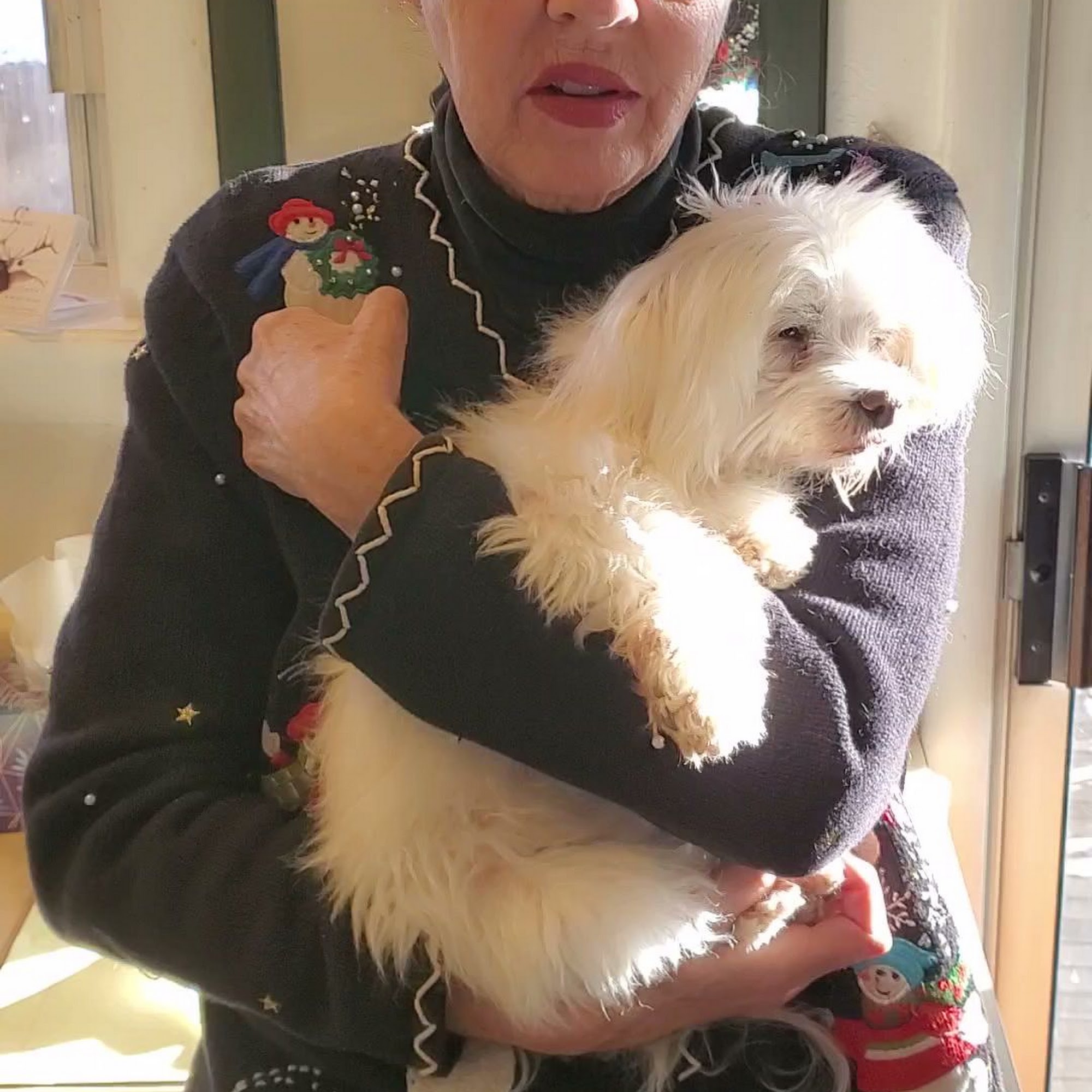 Lynns Loving Pet Care Aurora