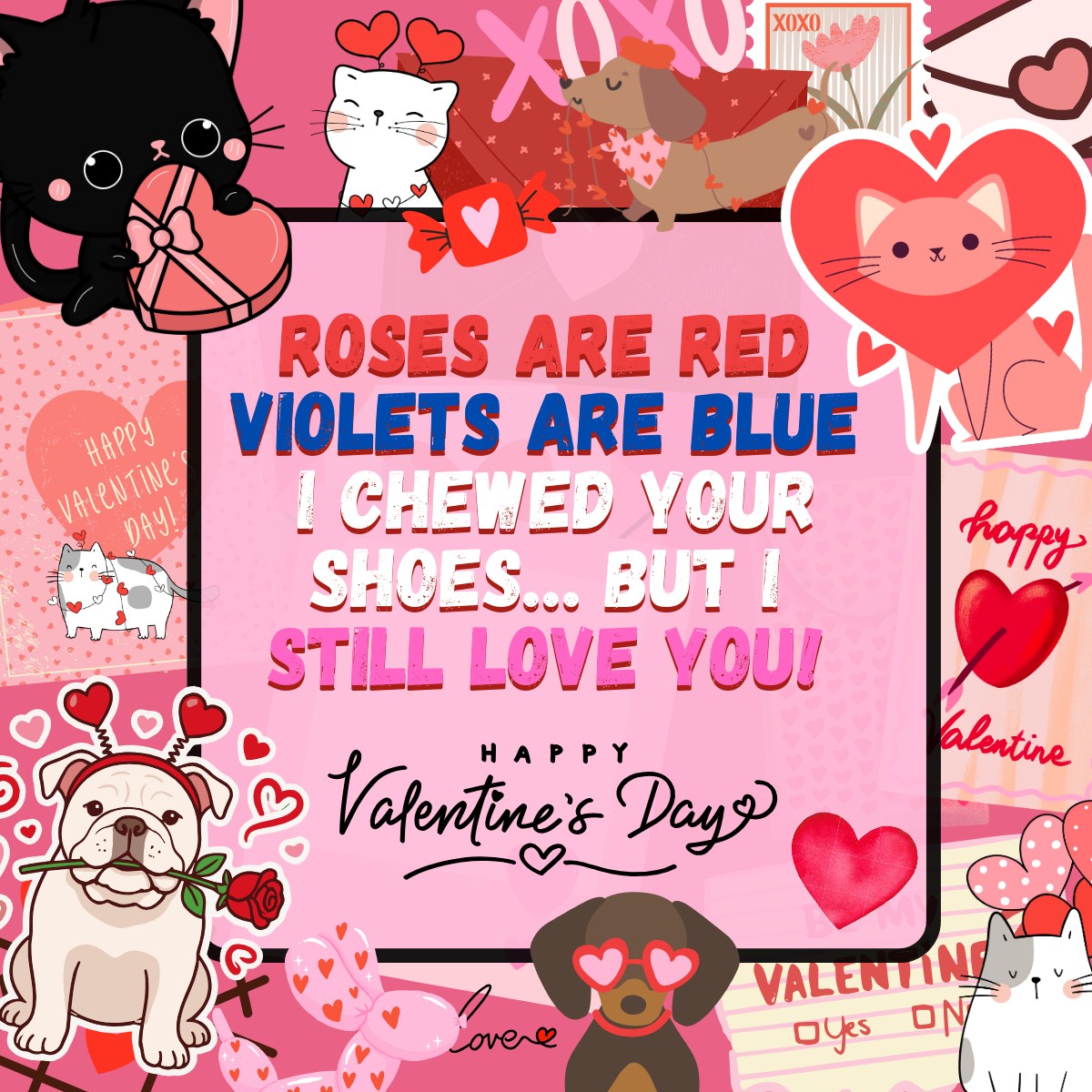 Animal Dental Clinic Aurora